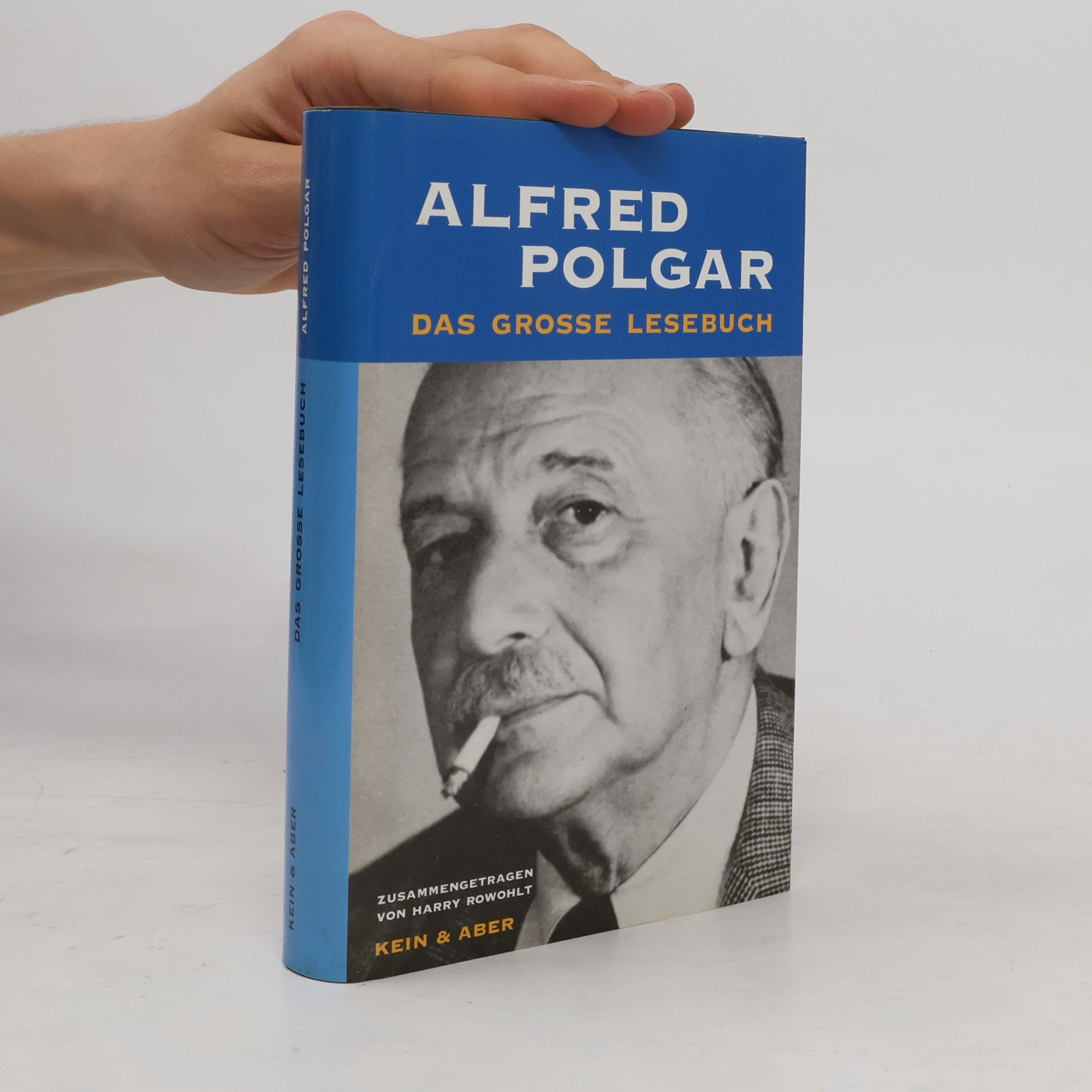 Alfred Polgar Das große Lesebuch