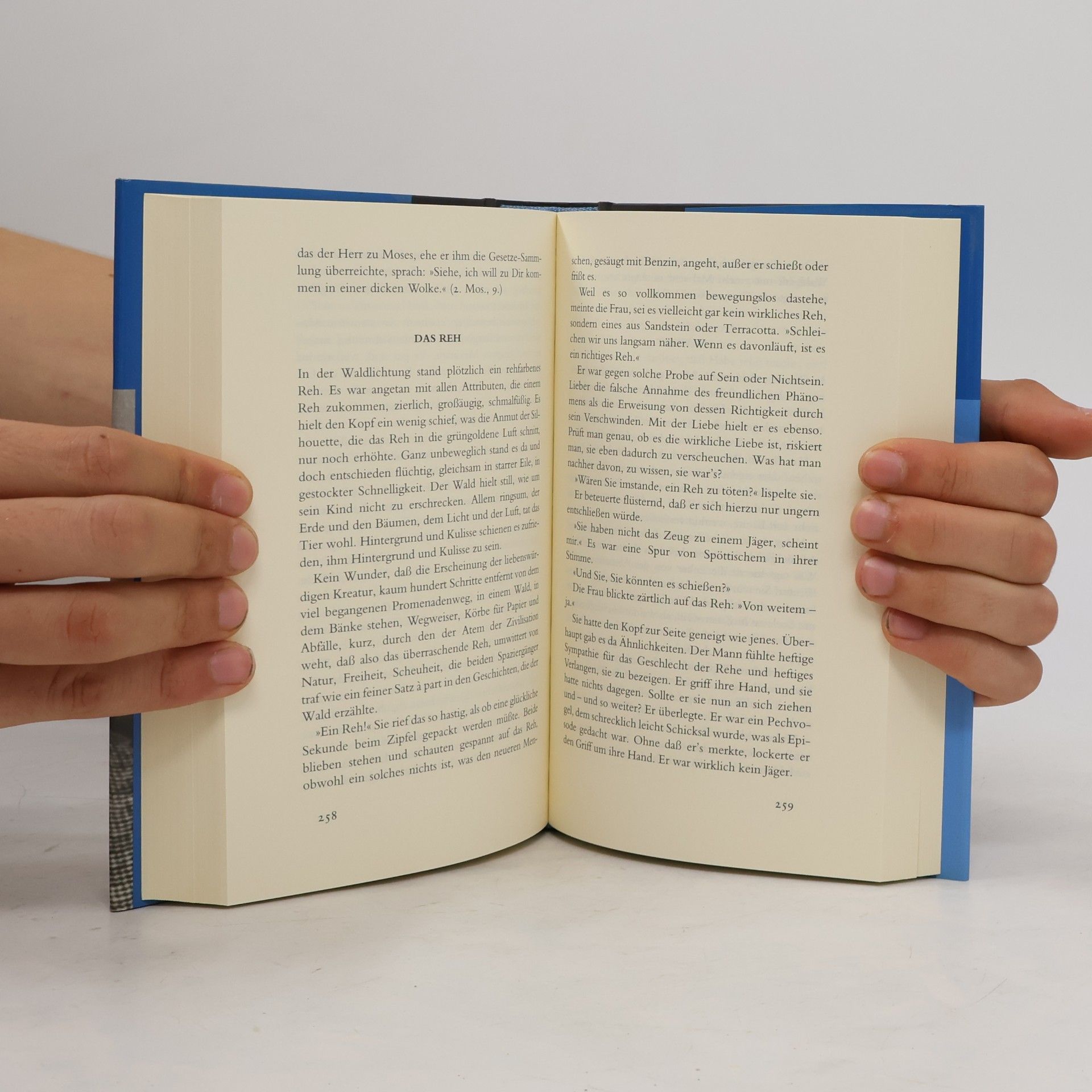 Alfred Polgar Das große Lesebuch