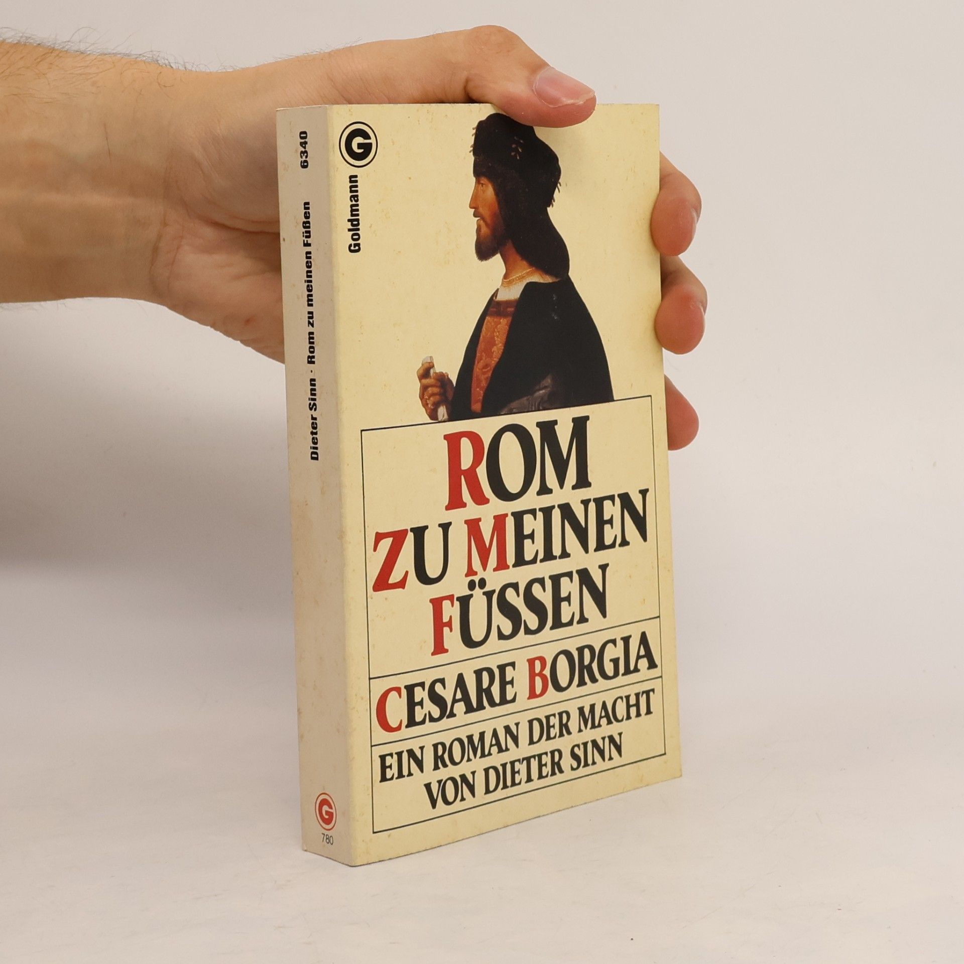 Dieter Sinn Rom zu meinen Füssen