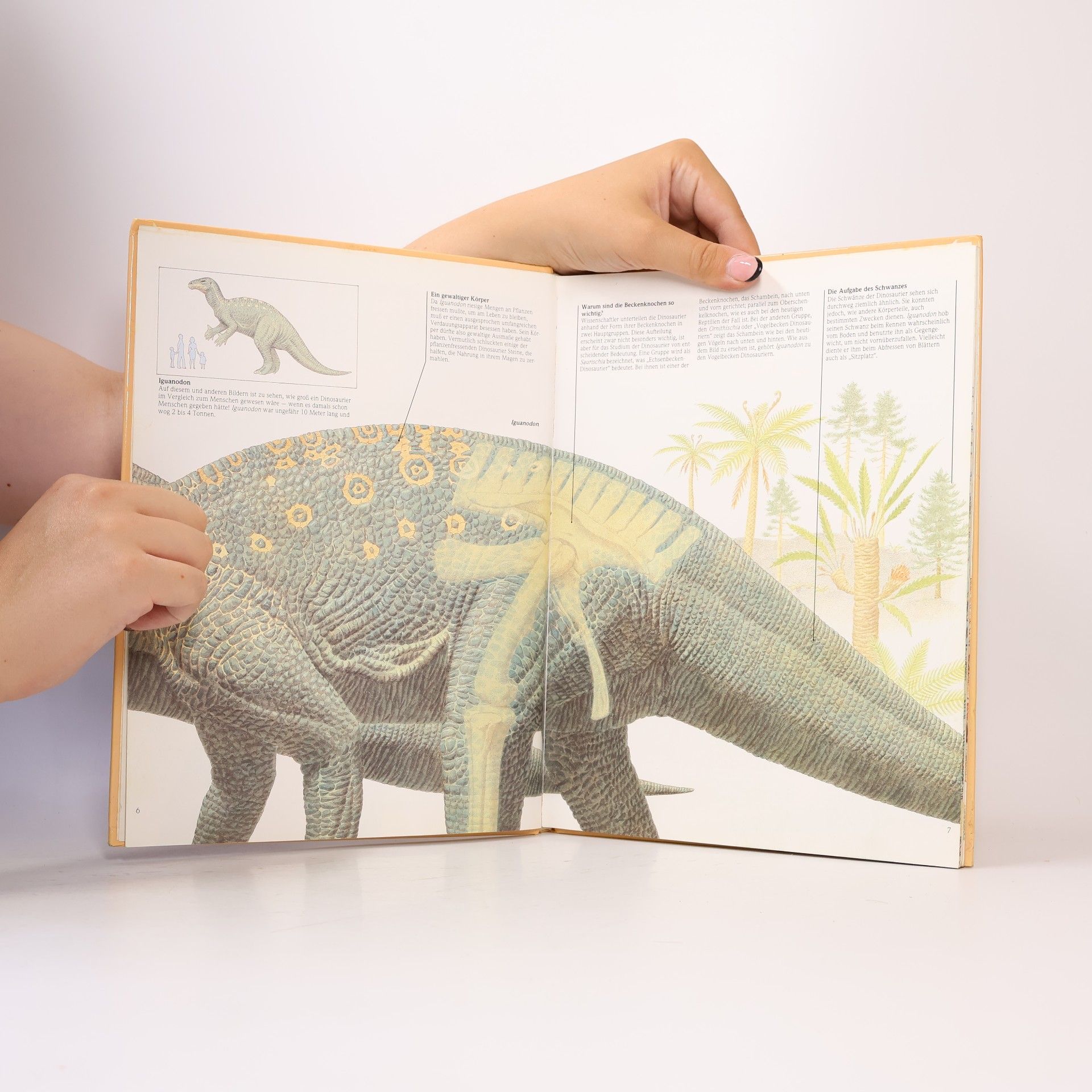 Autorenkollektiv Dinosaurier und wie sie lebten