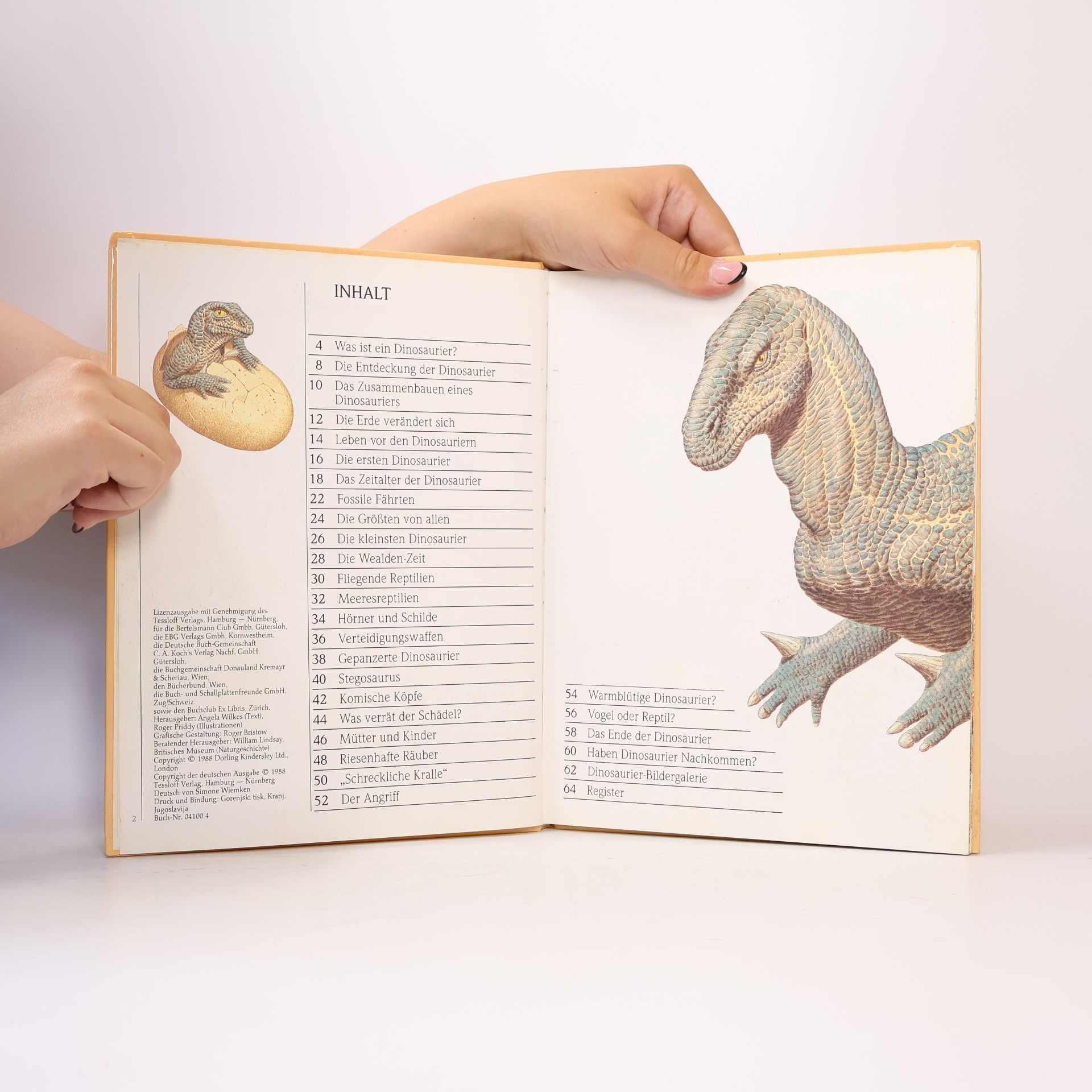 Autorenkollektiv Dinosaurier und wie sie lebten