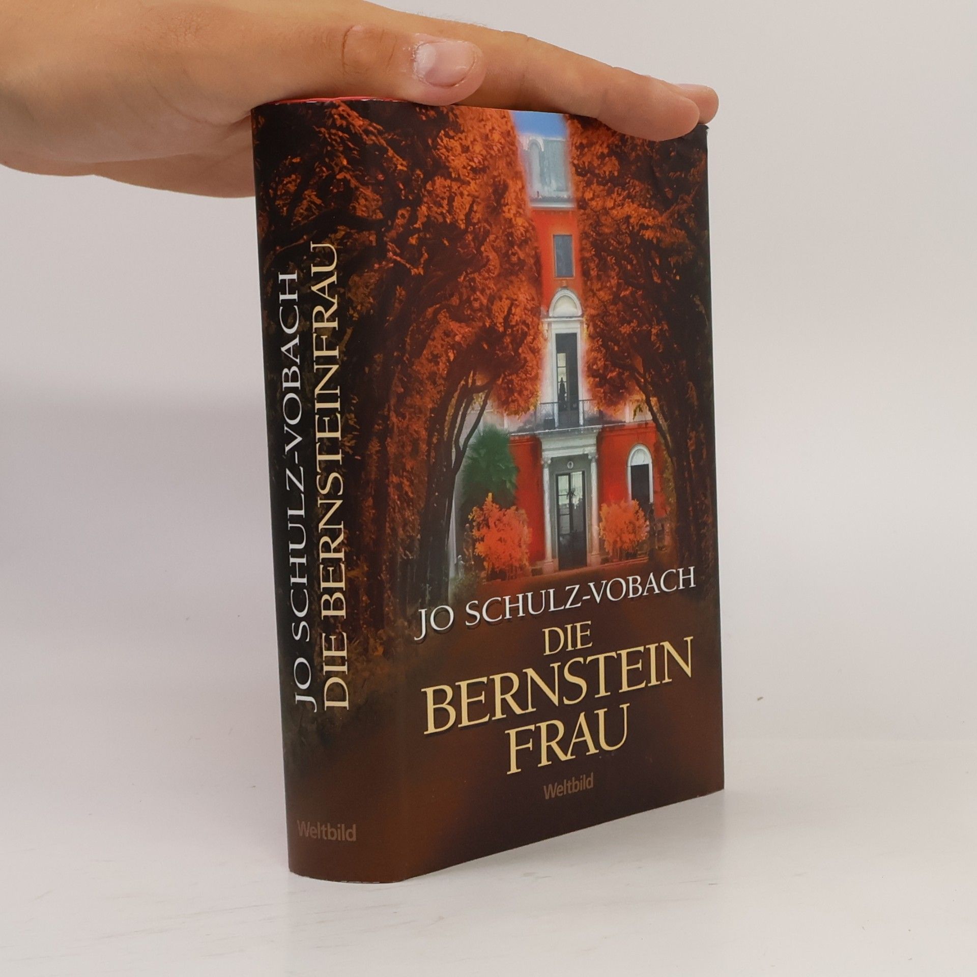 Jo Schulz-Vobach Die Bernsteinfrau