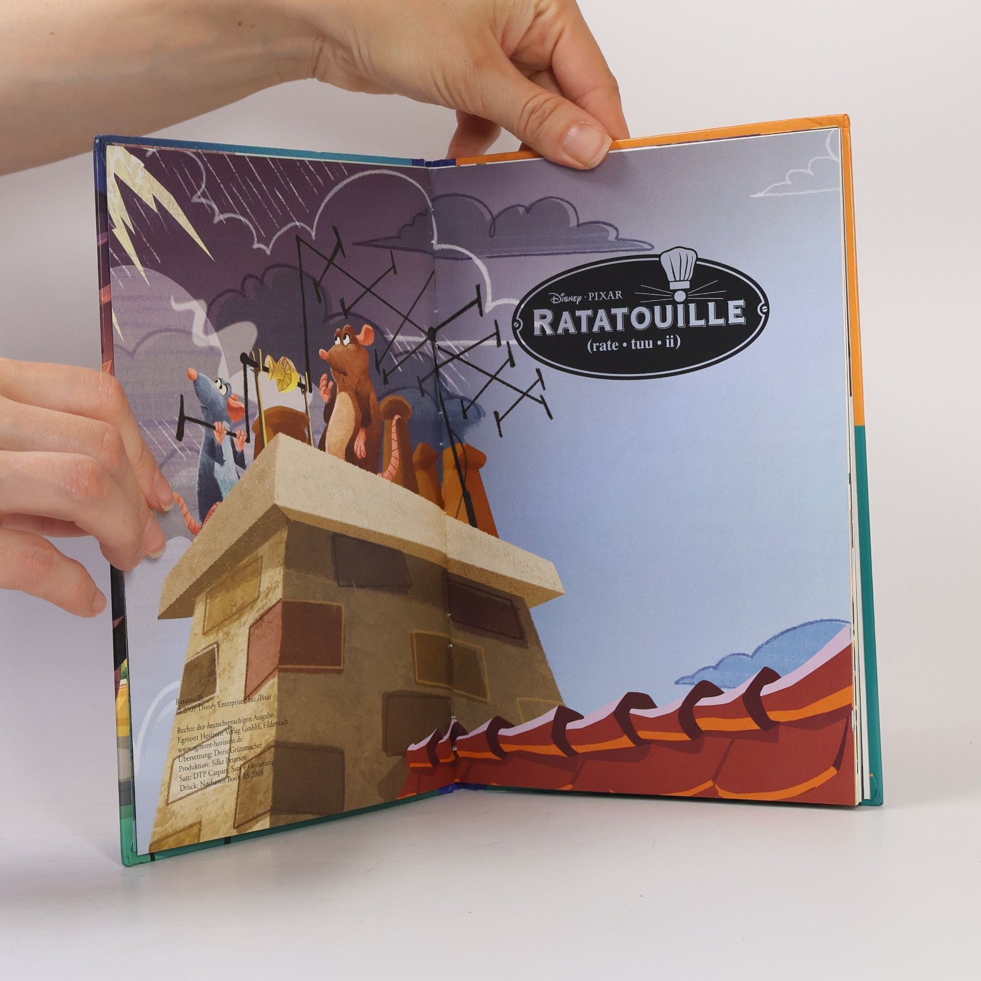 Autorenkollektiv Ratatouille