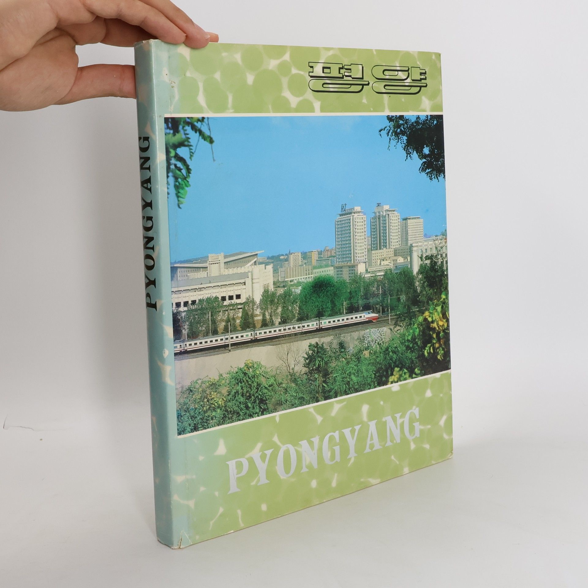 Various authors Pyongyang