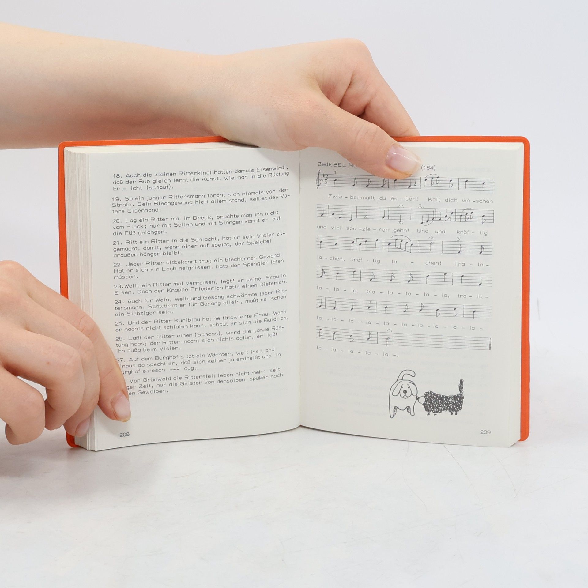 Autorenkollektiv Der Bettelmusikant