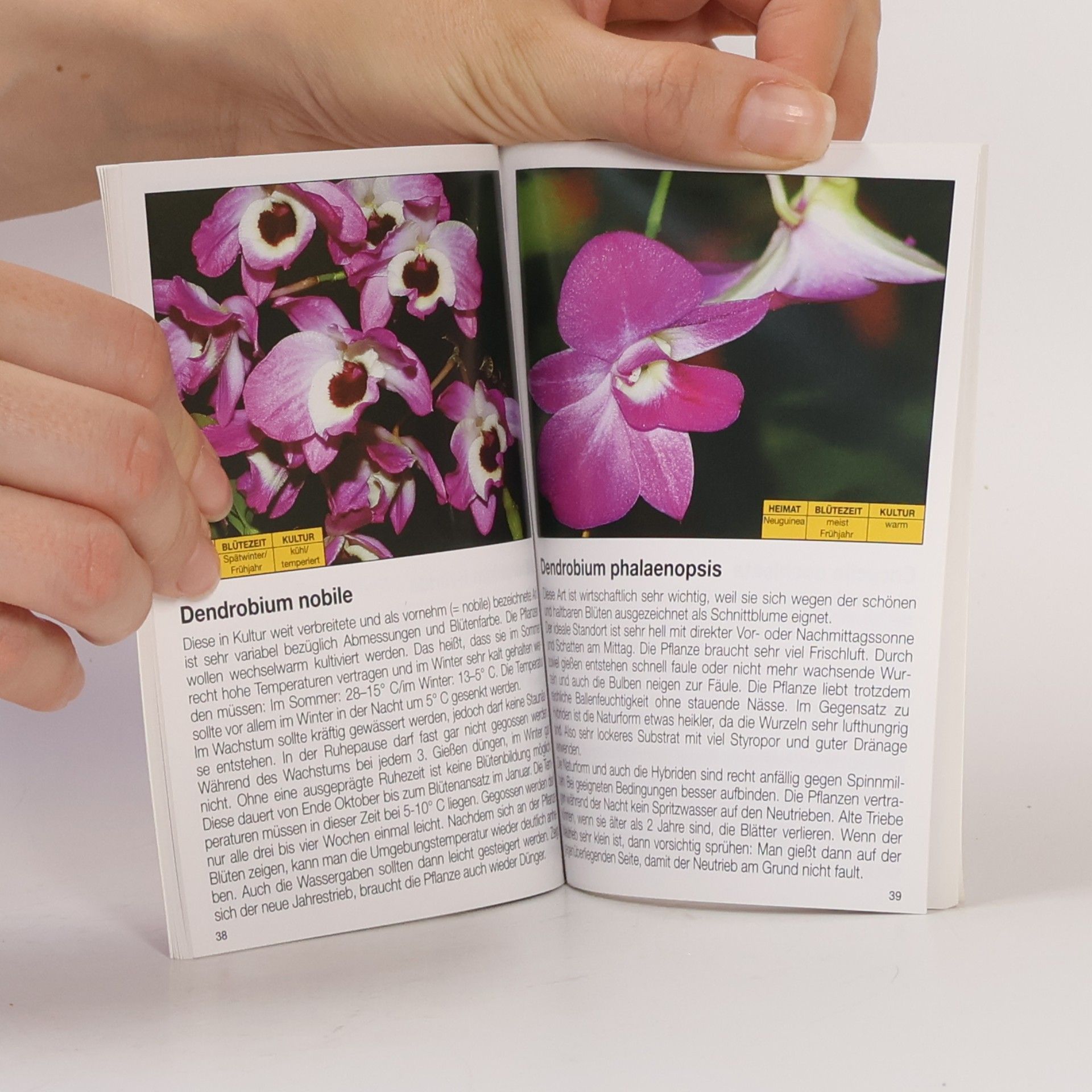 Kolektiv autorů Mehr Freude mit Orchideen