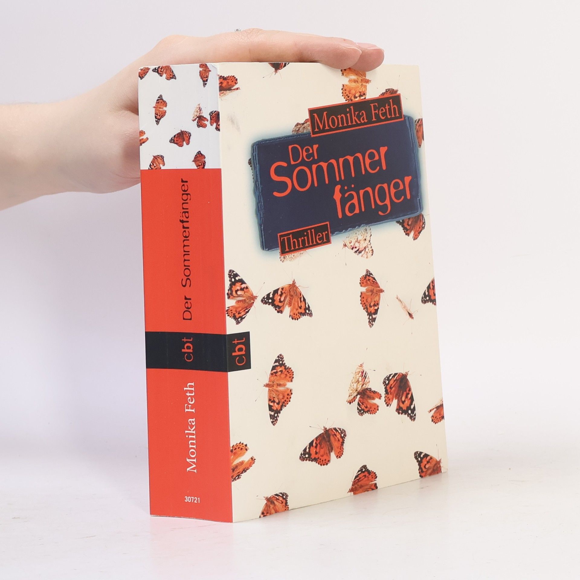 Monika Feth Der Sommerfänger