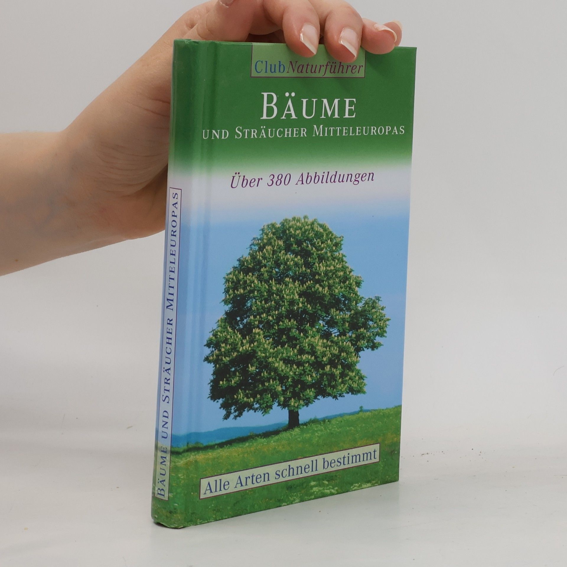 Autorenkollektiv Bäume und Sträucher Mitteleuropas