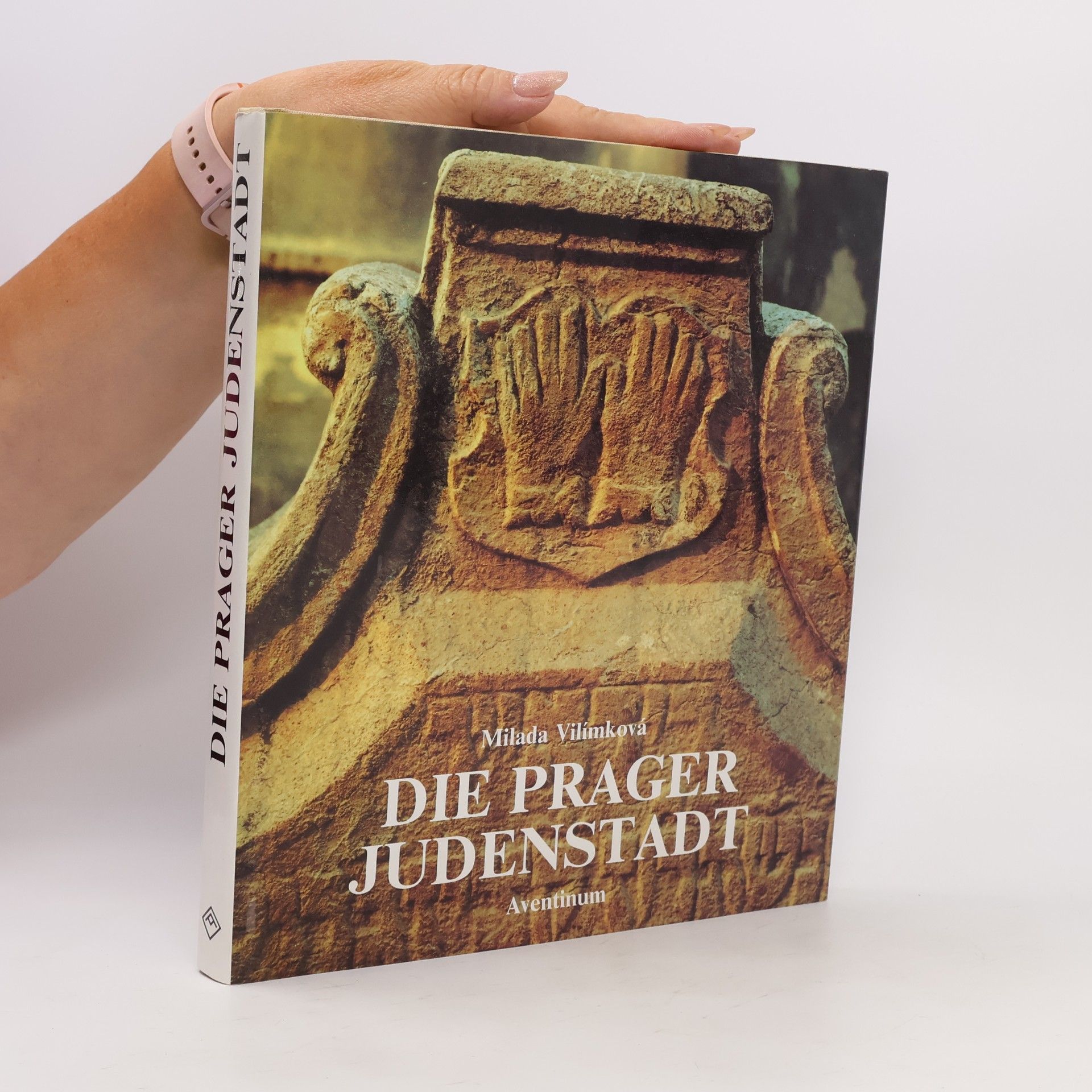 Milada Vilímková Die Prager Judenstadt