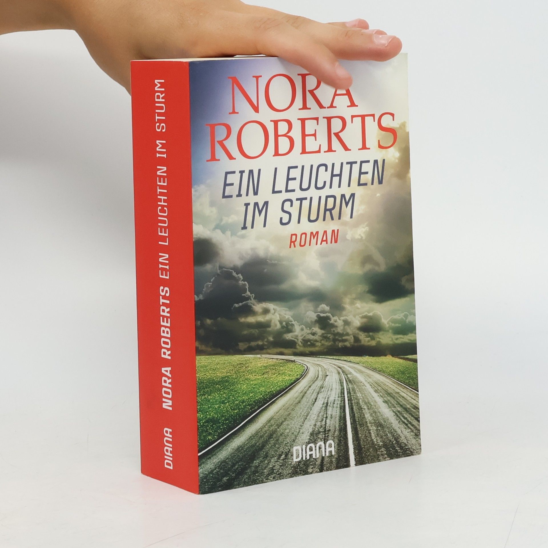 Nora Roberts Ein Leuchten im Sturm