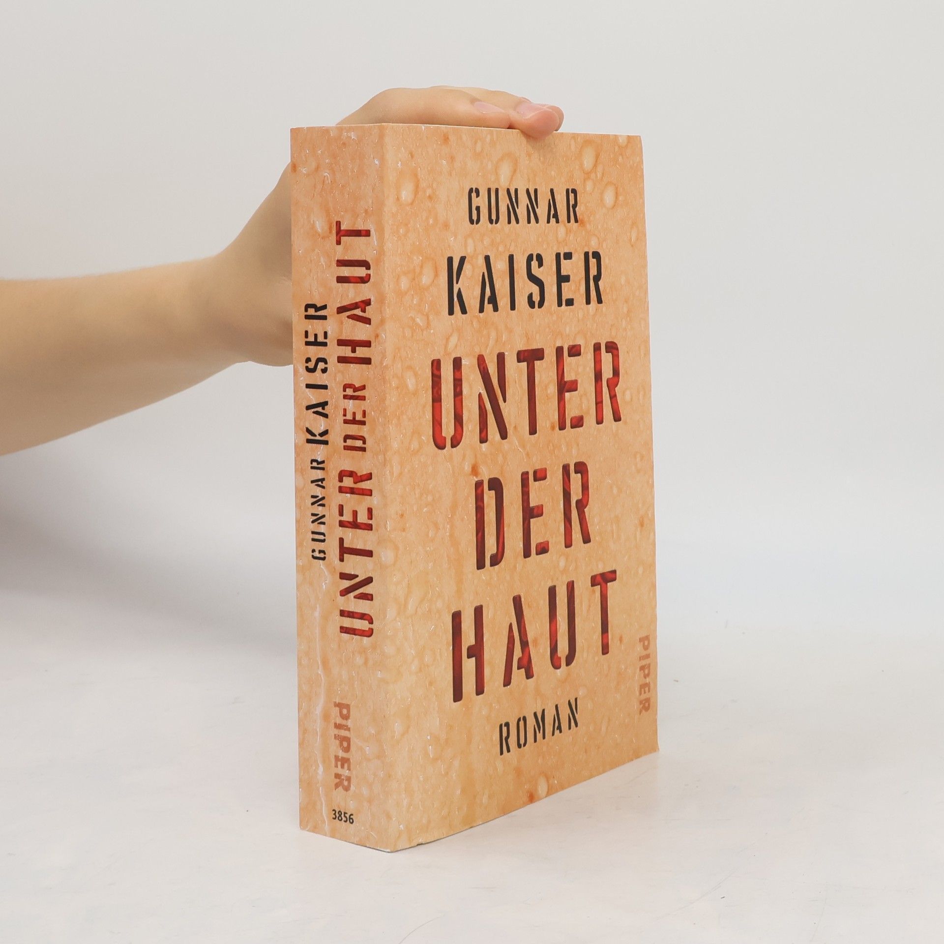 Gunnar Kaiser Unter der Haut