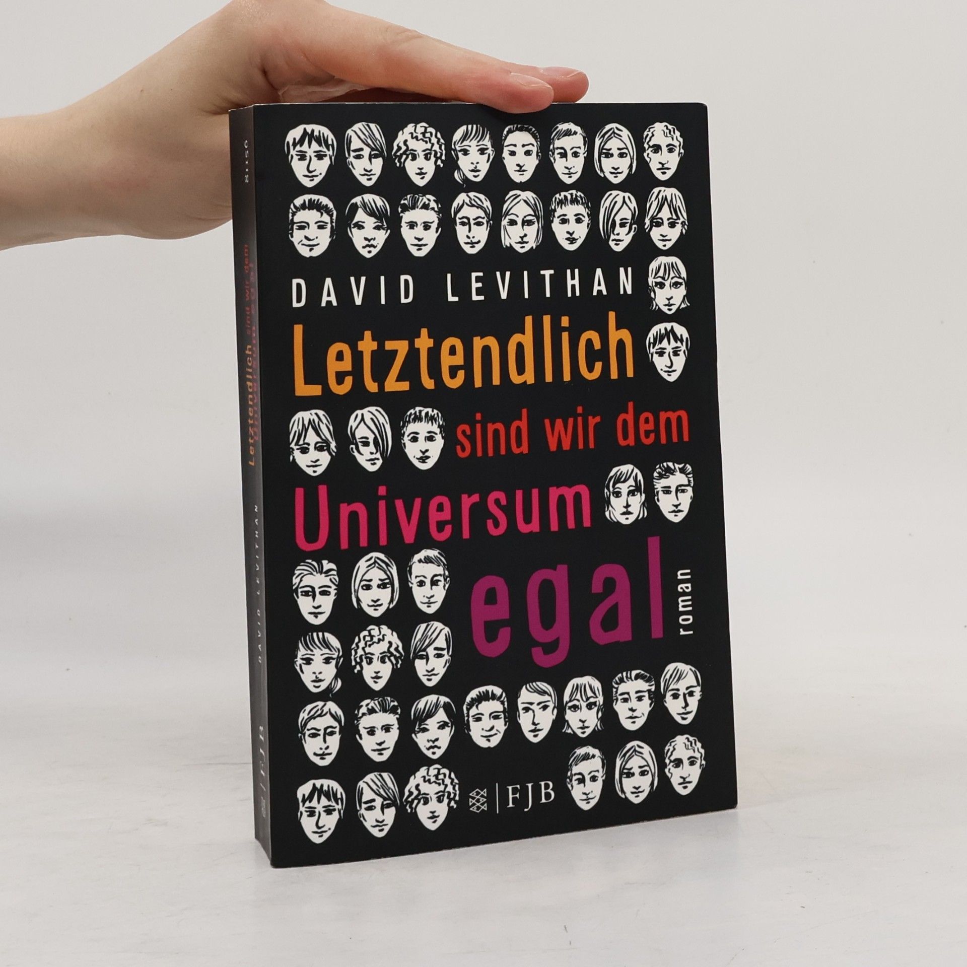 David Levithan Letztendlich sind wir dem Universum egal