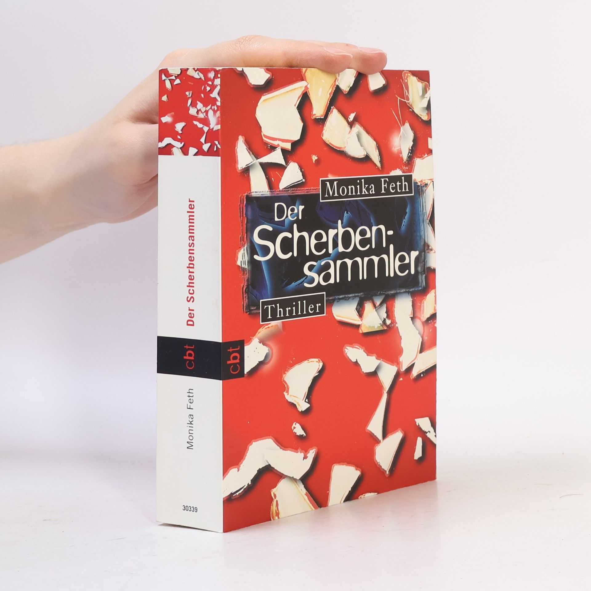 Monika Feth Der Scherbensammler