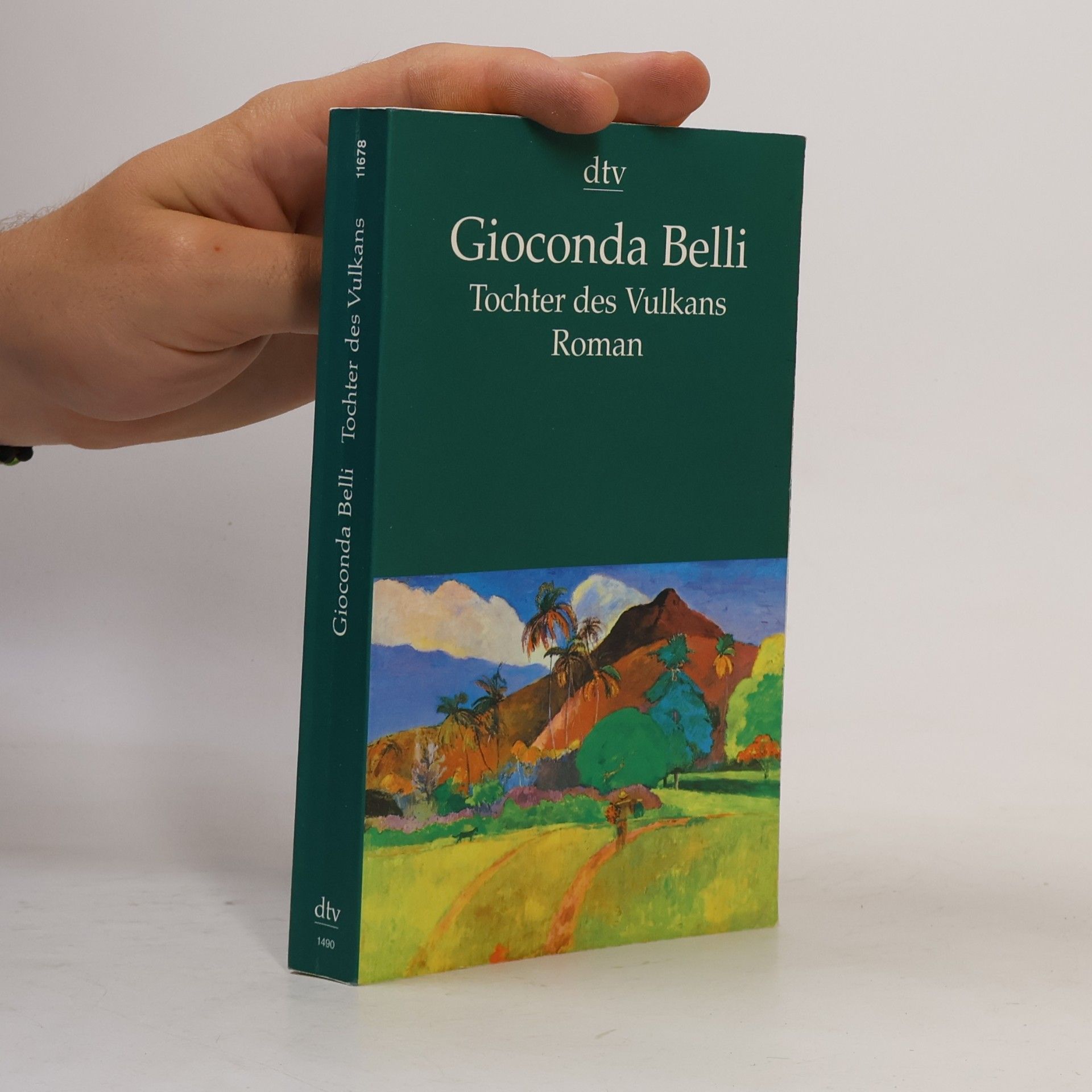 Gioconda Belli Tochter des Vulkans