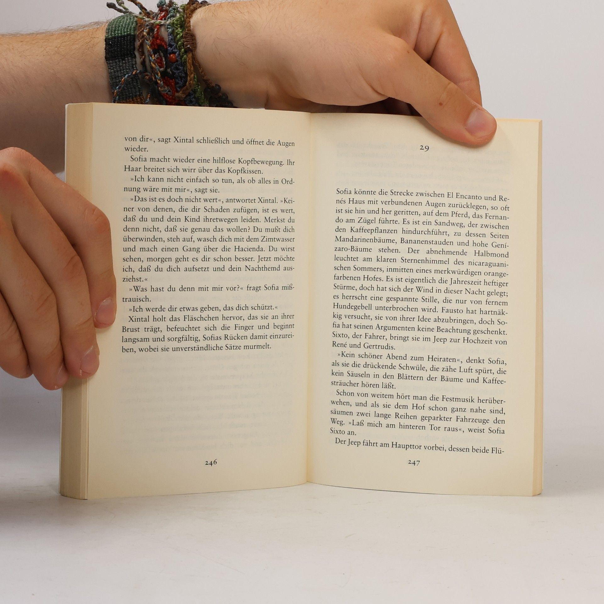 Gioconda Belli Tochter des Vulkans