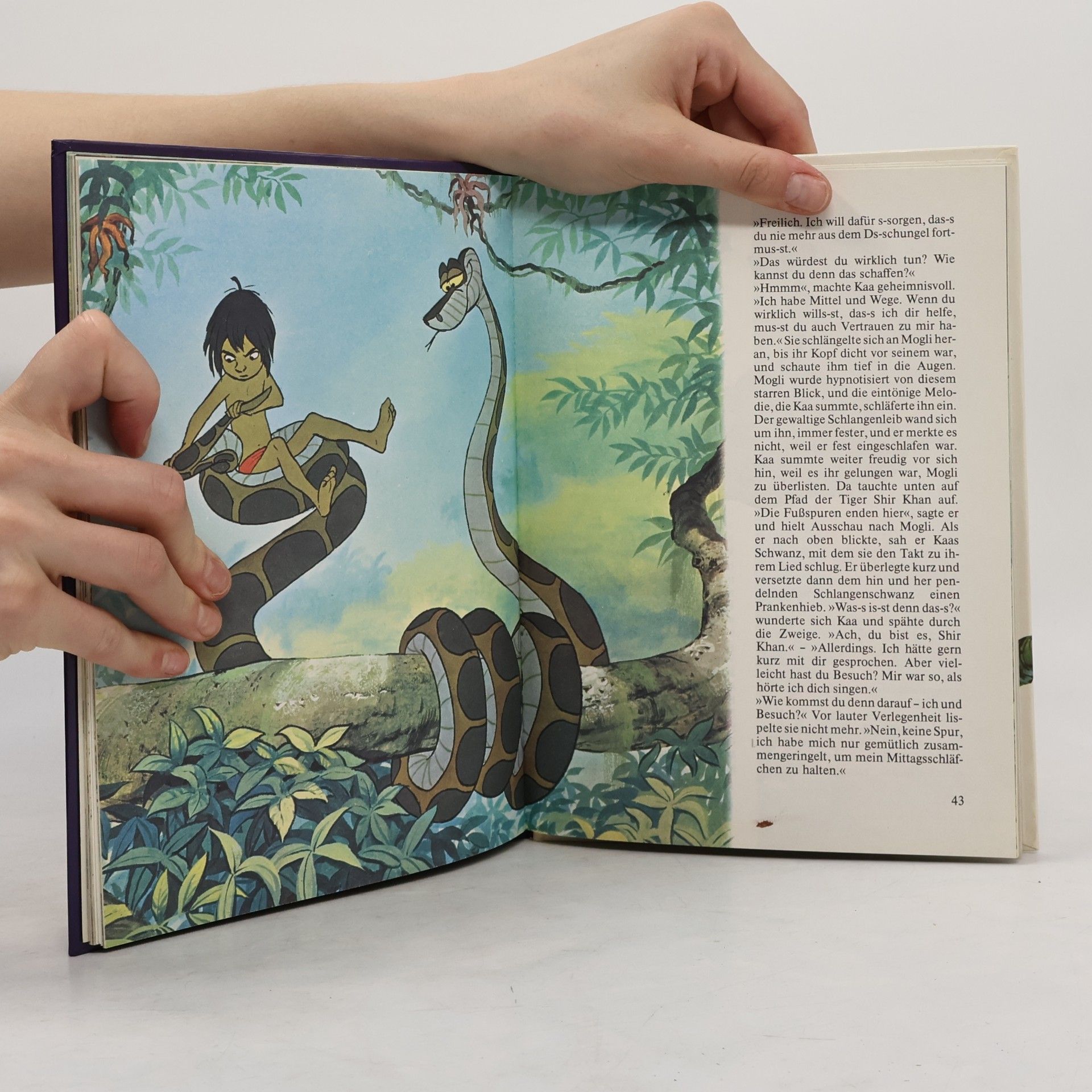 Rudyard Kipling Das Dschungelbuch