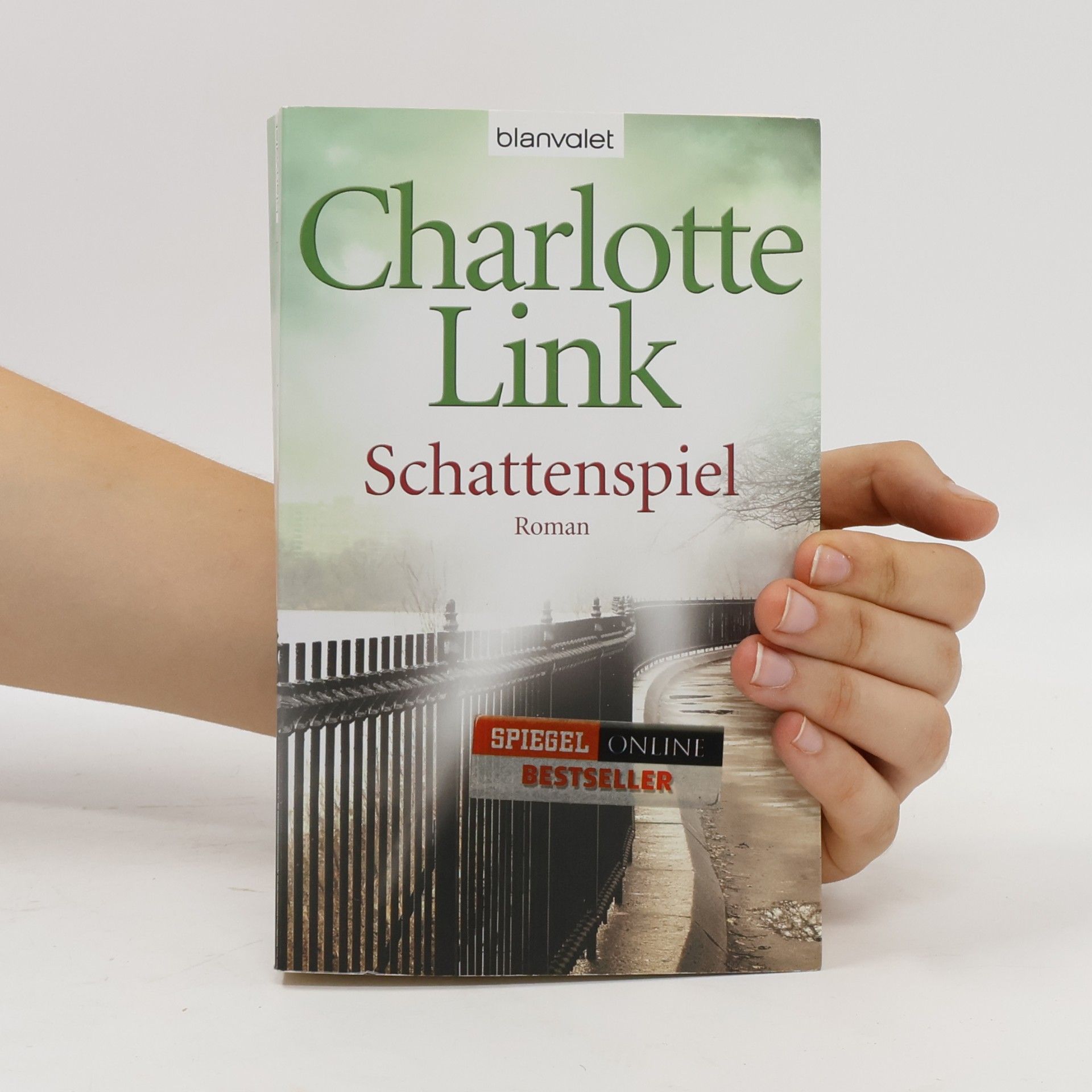 Charlotte Link Schattenspiel