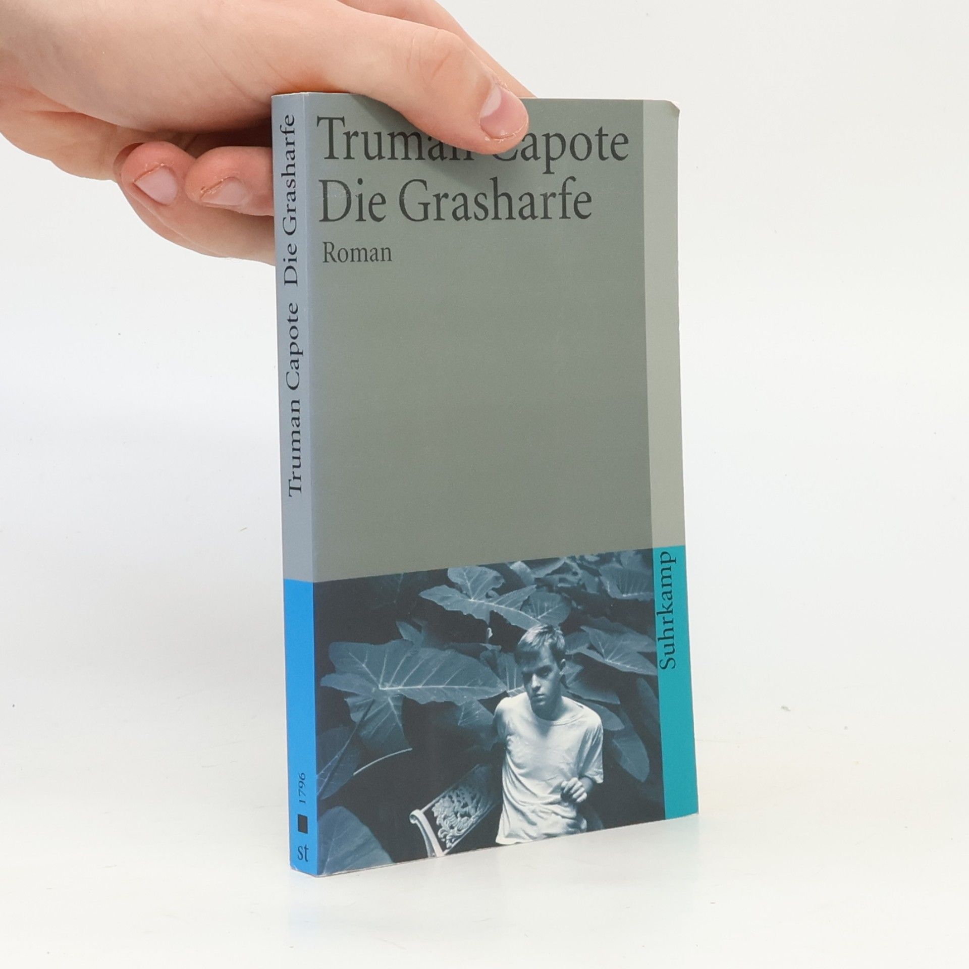 Truman Capote Die Grasharfe
