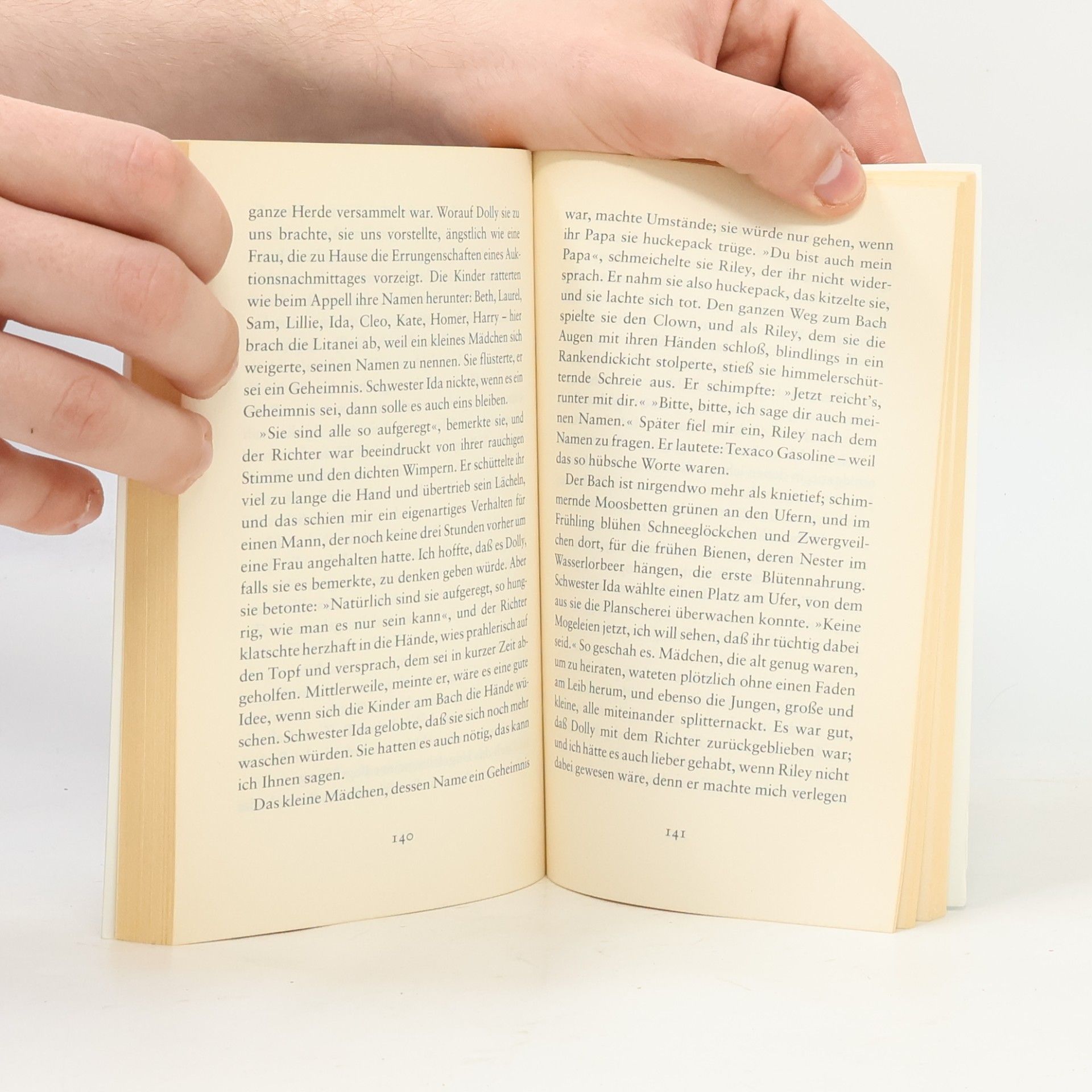 Truman Capote Die Grasharfe