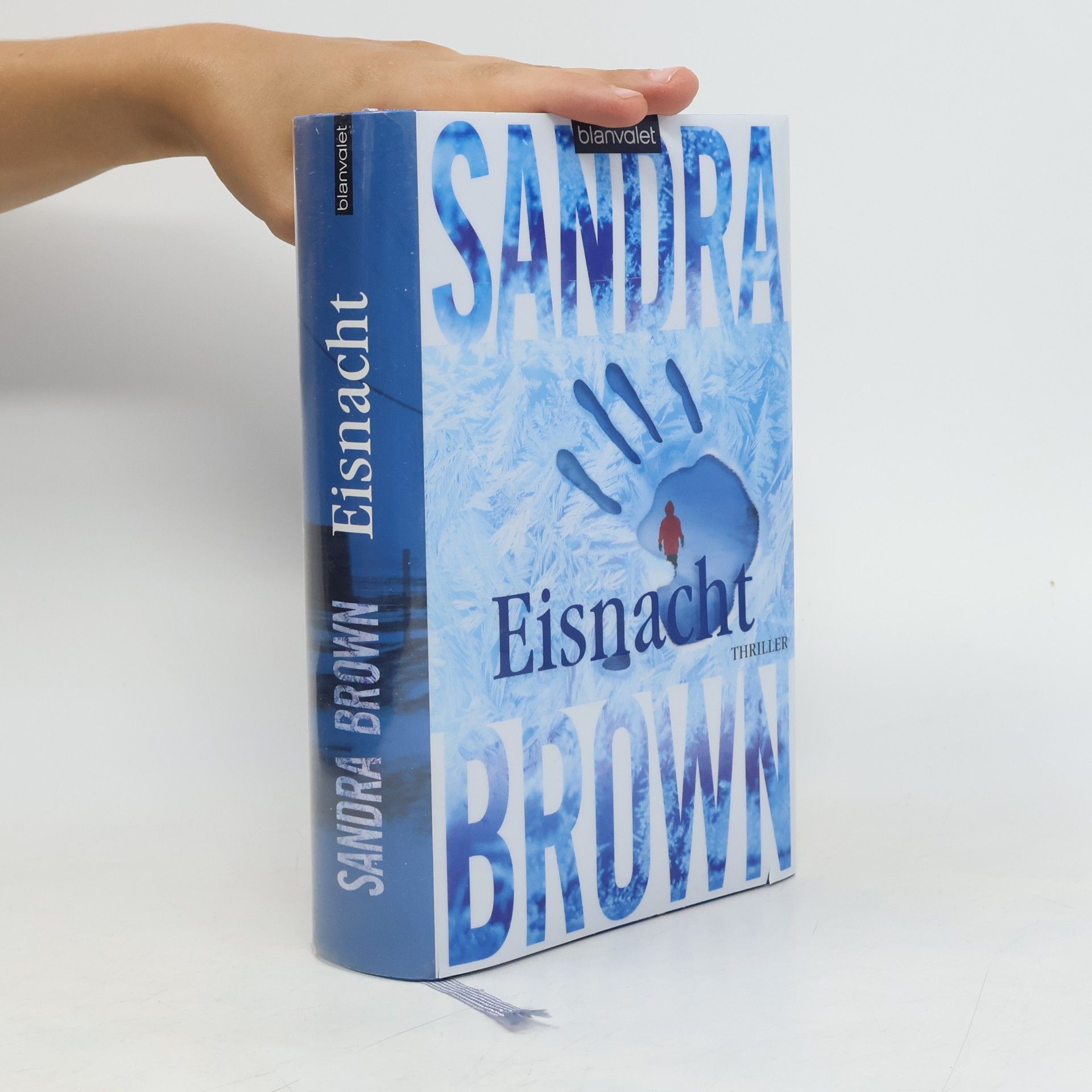 Sandra Brown Eisnacht
