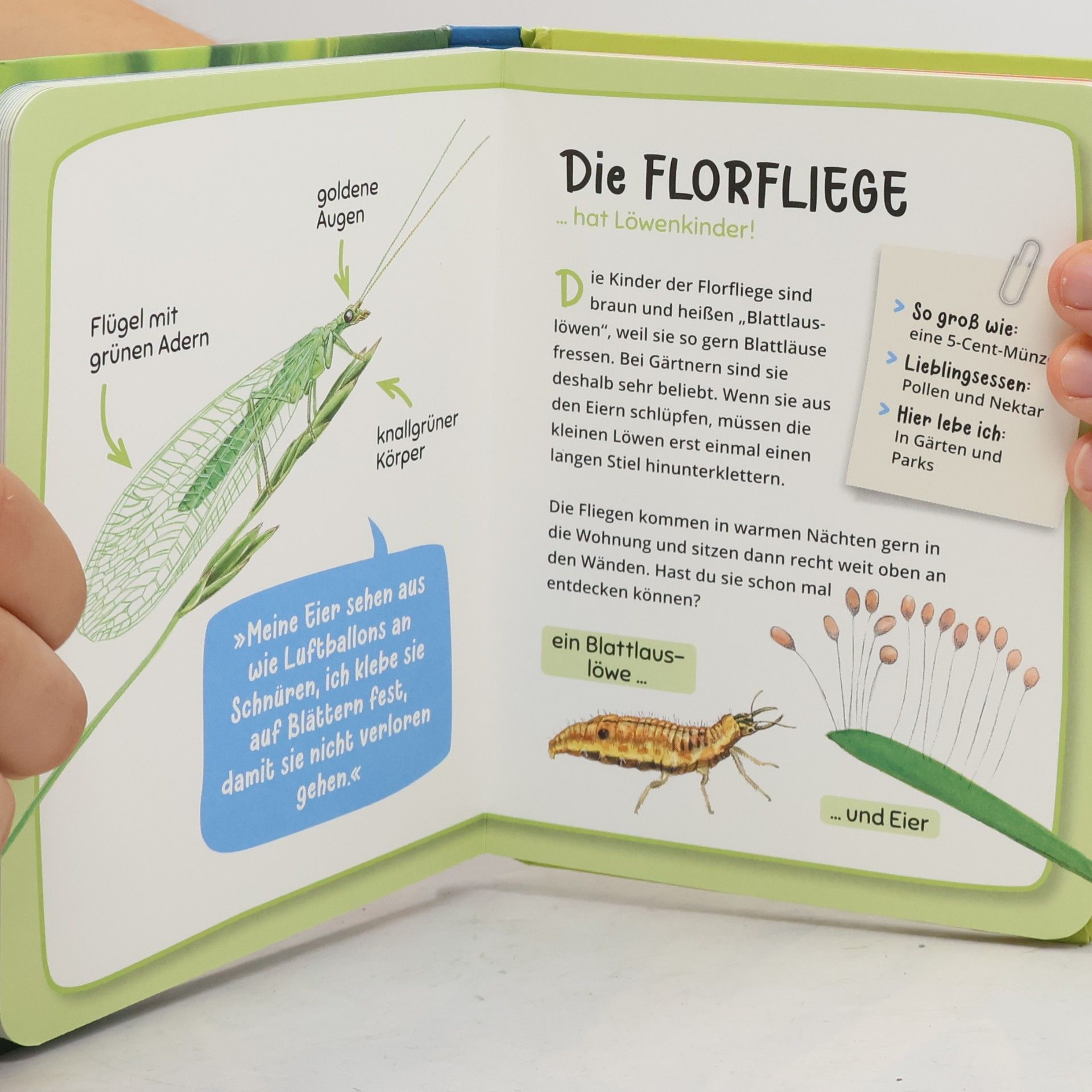 Veronika Lang Was krabbelt denn da?