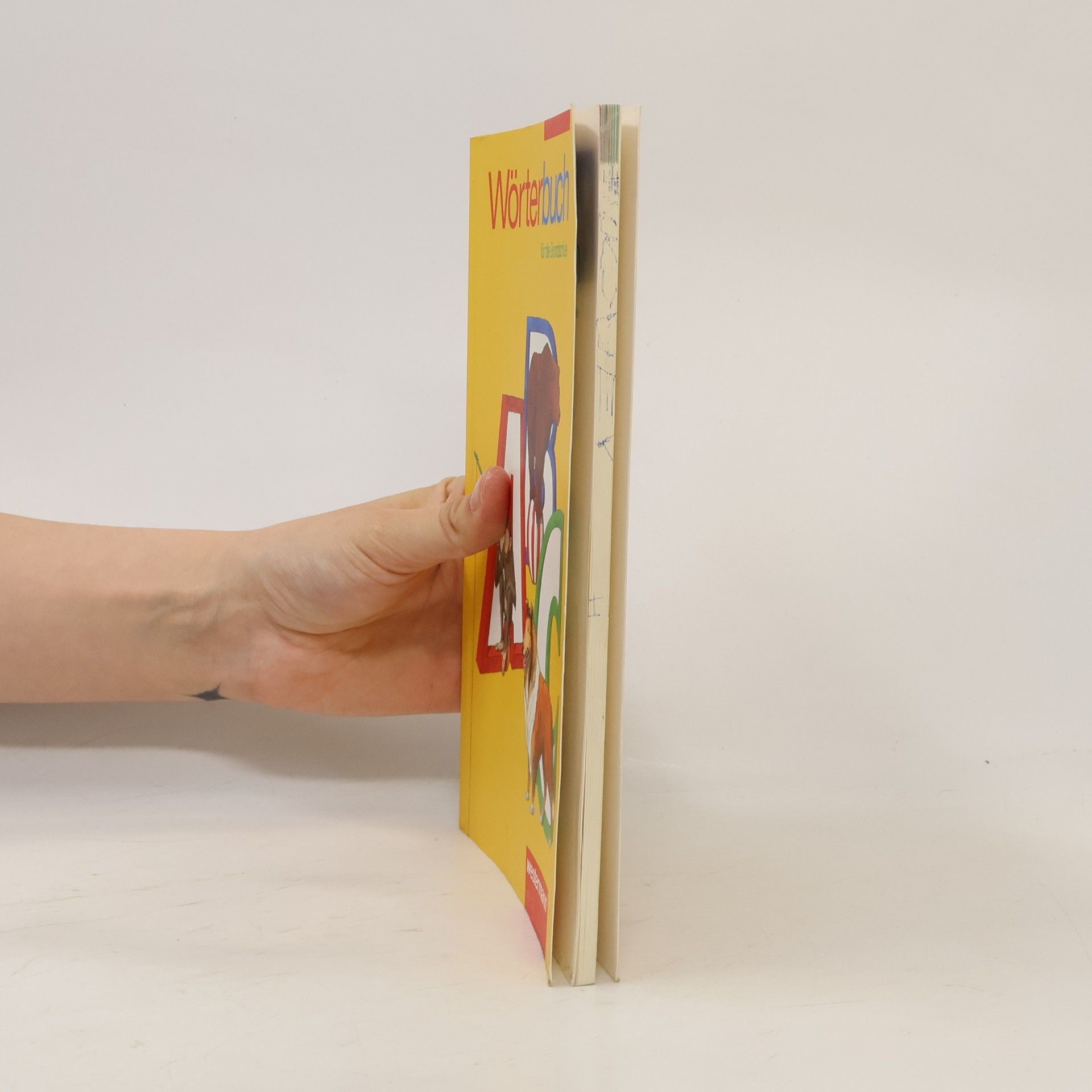 Autores varios Wörterbuch für die Grundschule mit Übungen zum Nachschlagen