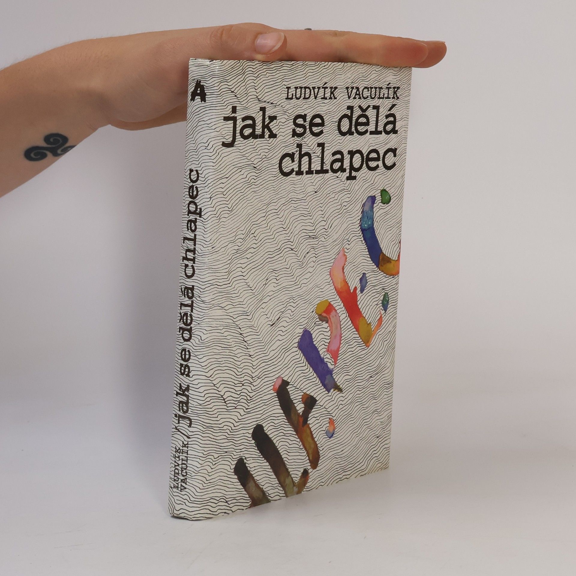 Ludvík Vaculík Jak se dělá chlapec