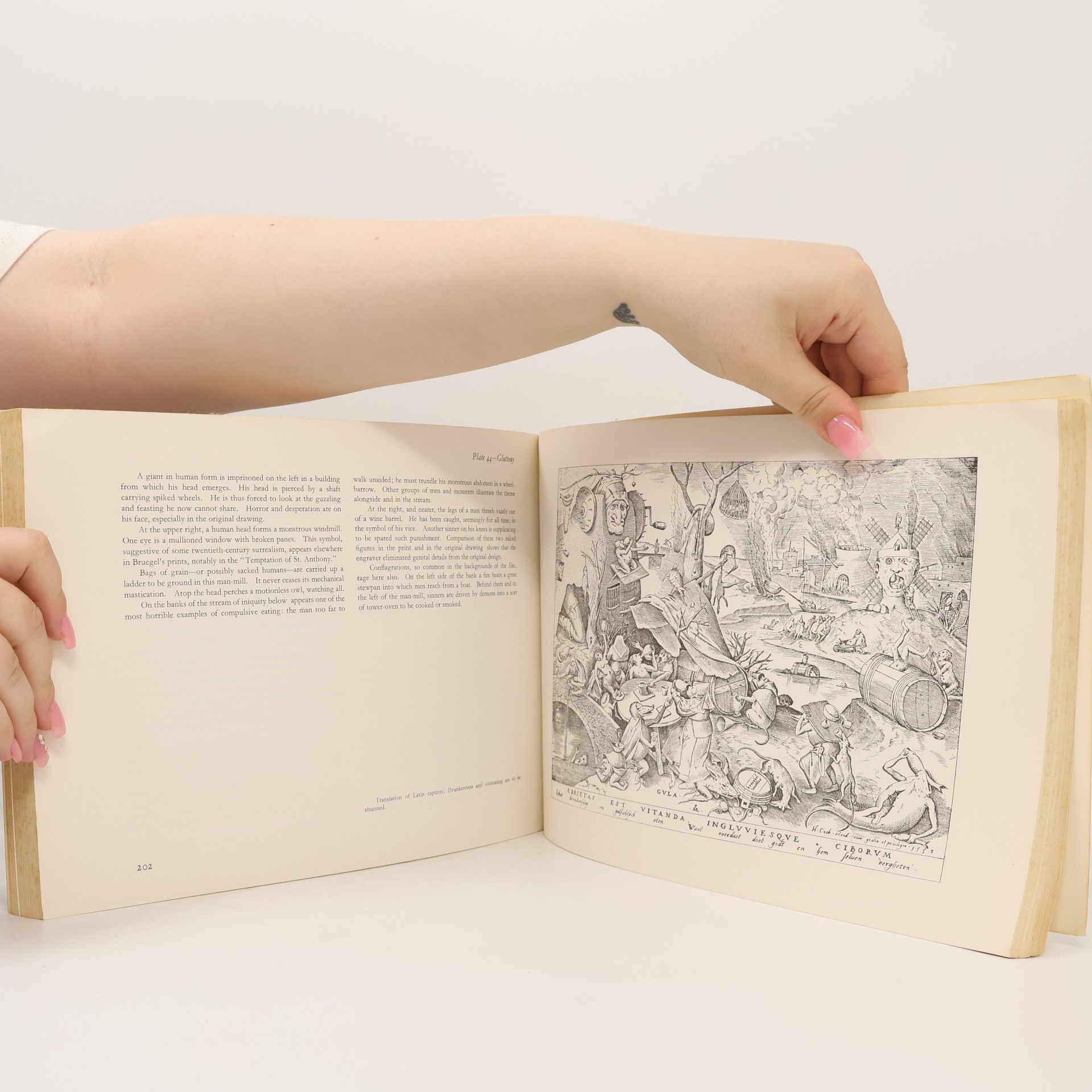 H. Arthur Klein Graphic Worlds of Peter Bruegel the Elder