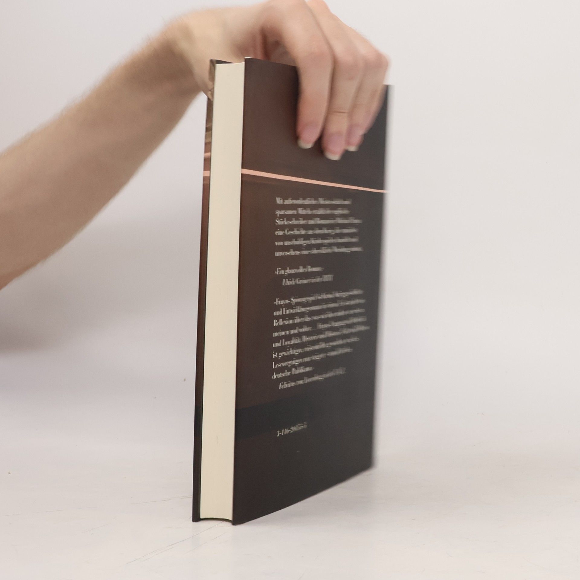 Michael Frayn Das Spionagespiel