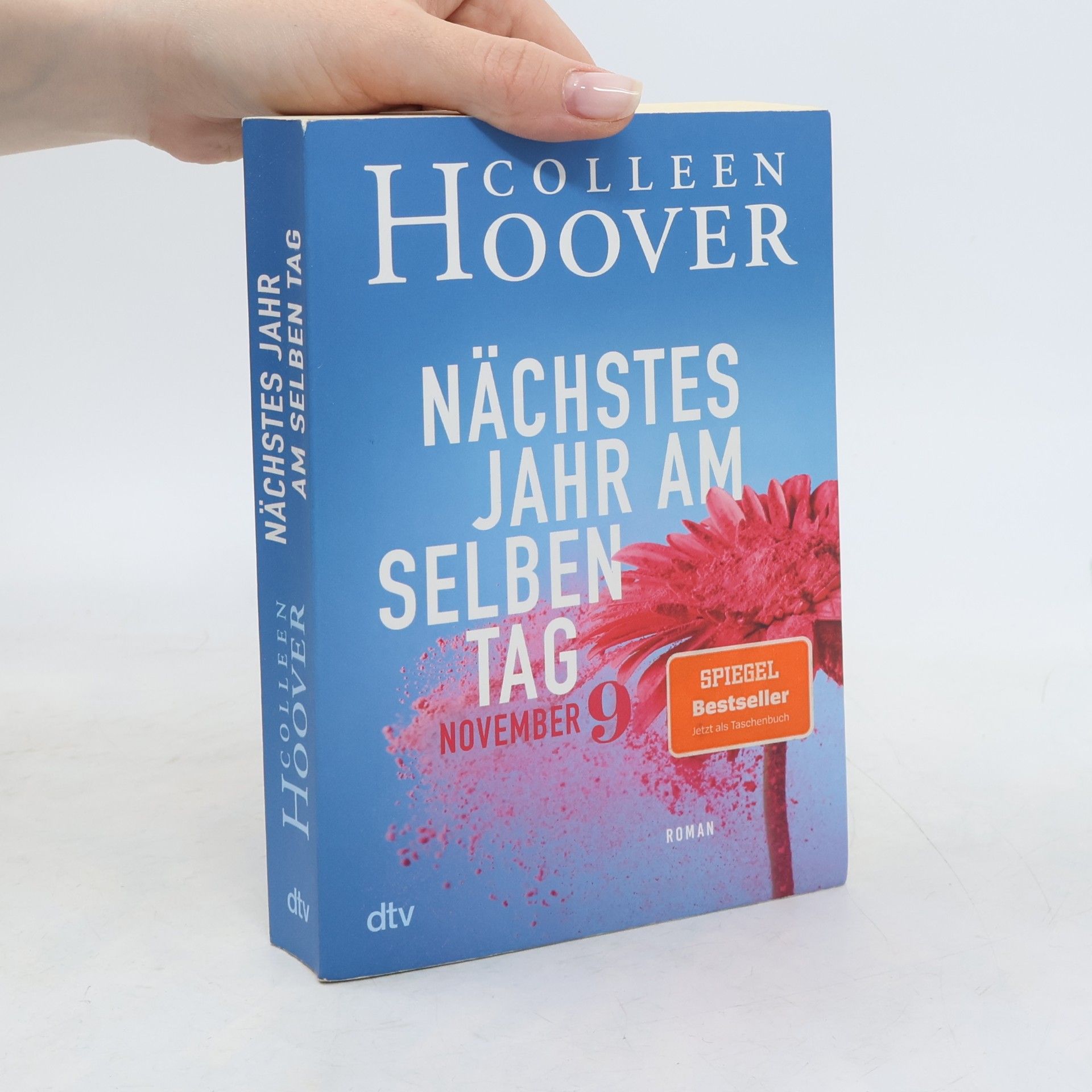 Colleen Hoover Nächstes Jahr am selben Tag