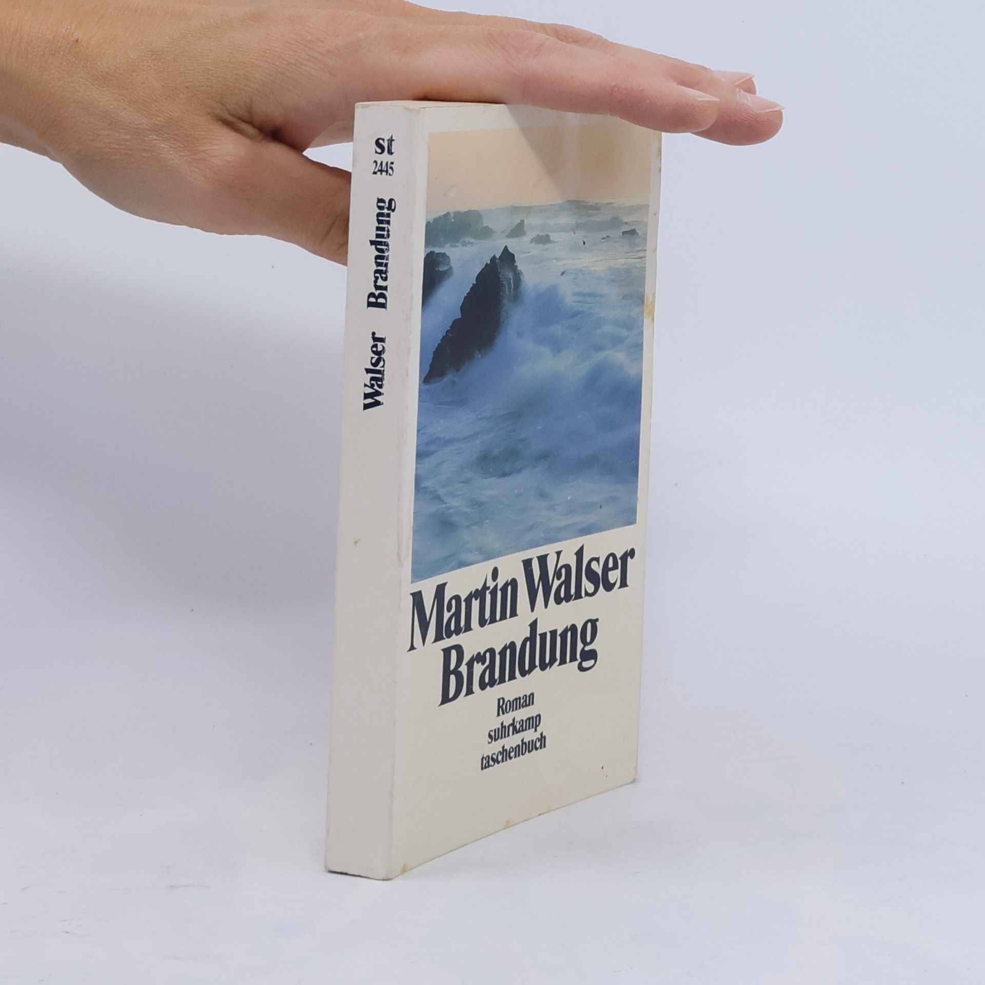 Martin Walser Brandung