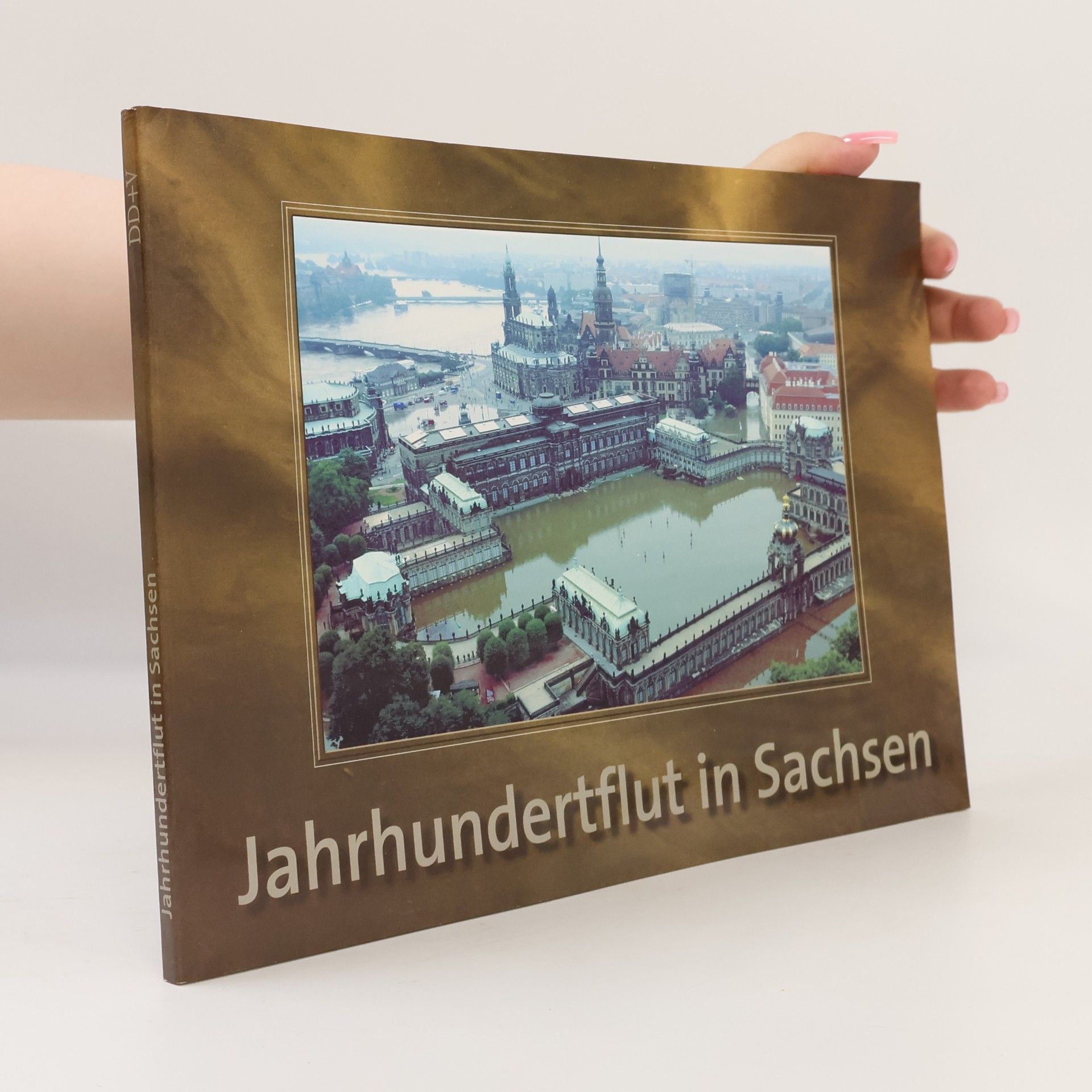 Monika Dänhardt Jahrhundertflut in Sachsen
