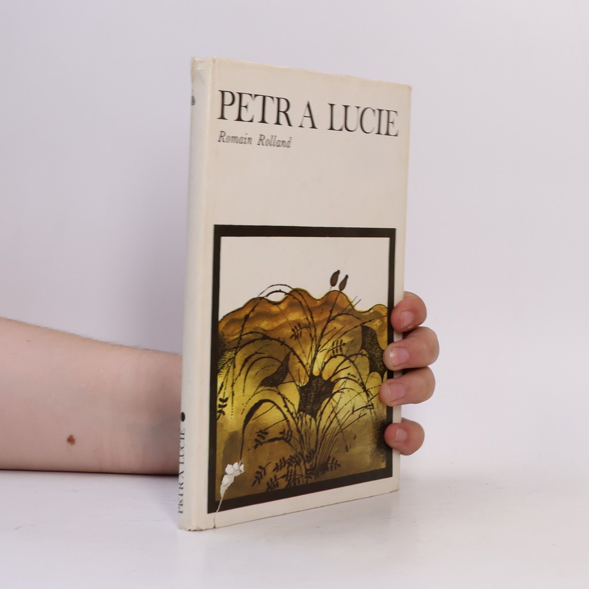 Romain Rolland Petr a Lucie