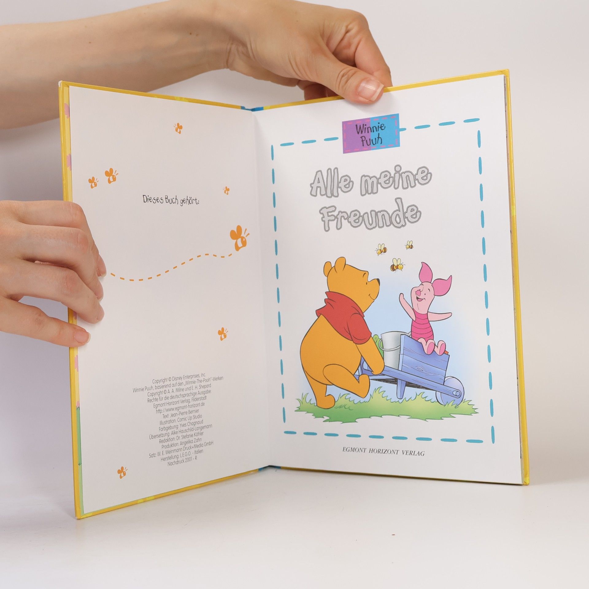 Auteurscollectief Winnie Puuh. Alle meine Freunde