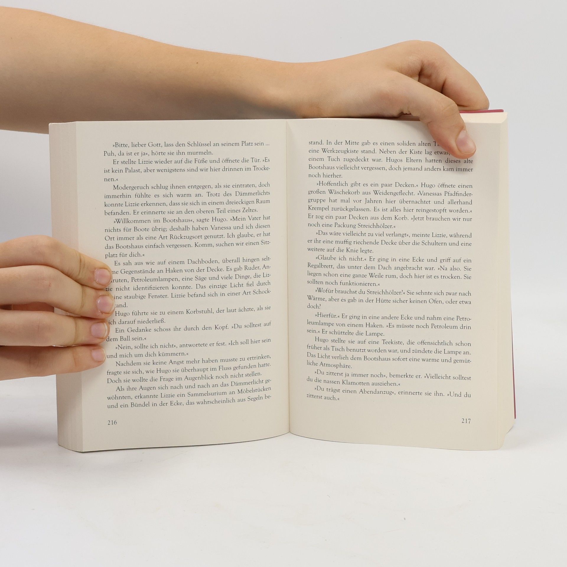 Katie Fforde Sommerfest der Liebe