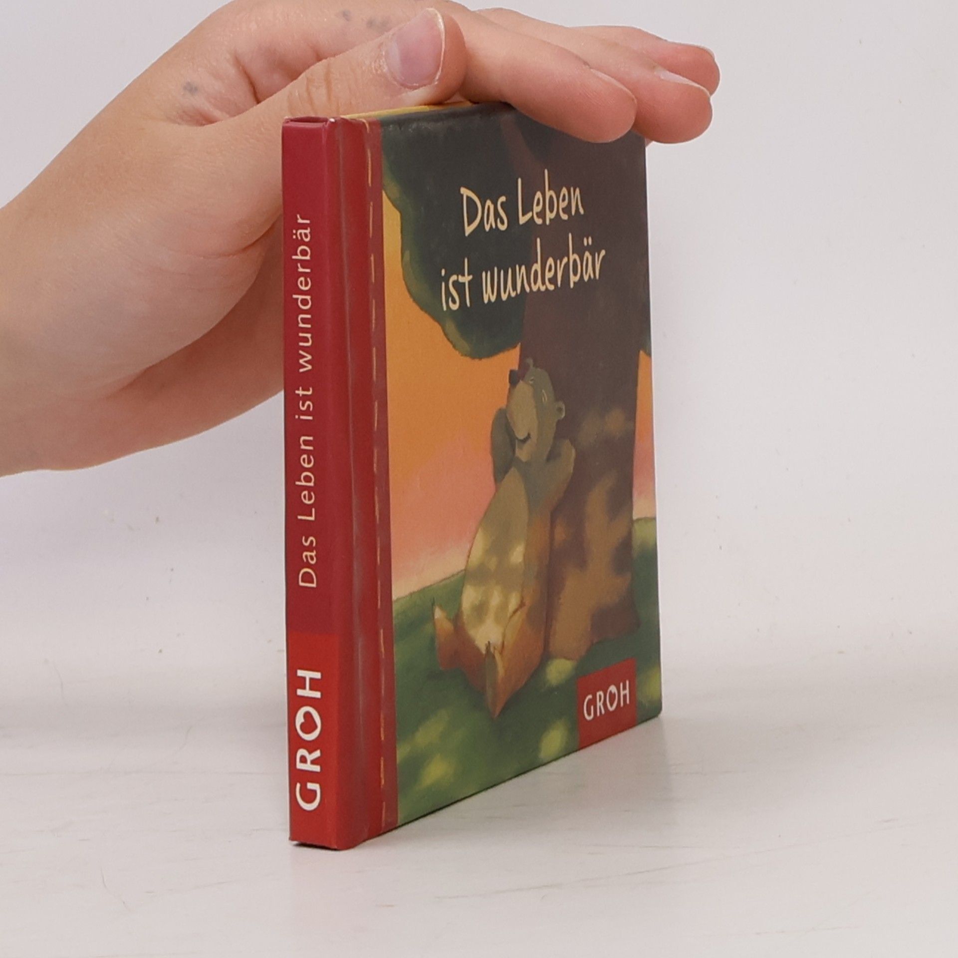 Julia Fuchshuber Bärenweisheiten: Das Leben ist wunderbär