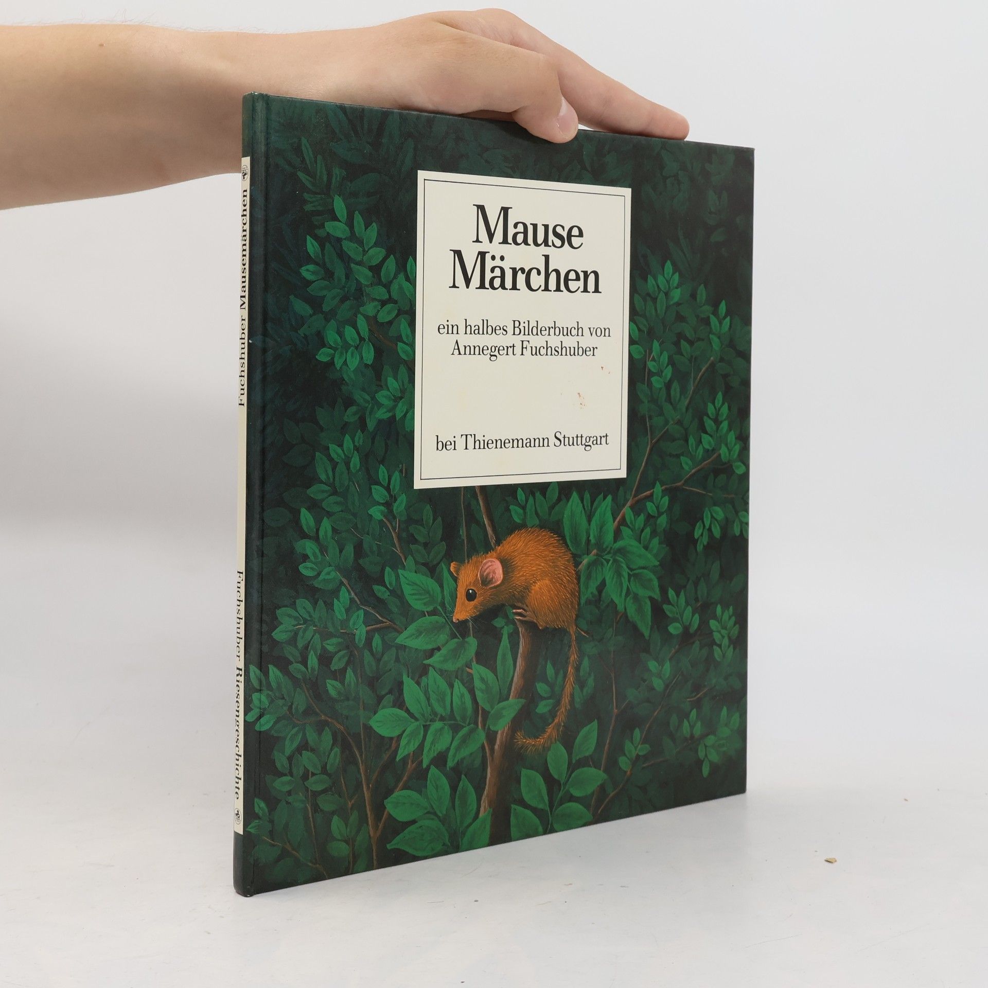Annegert Fuchshuber Mause Märchen