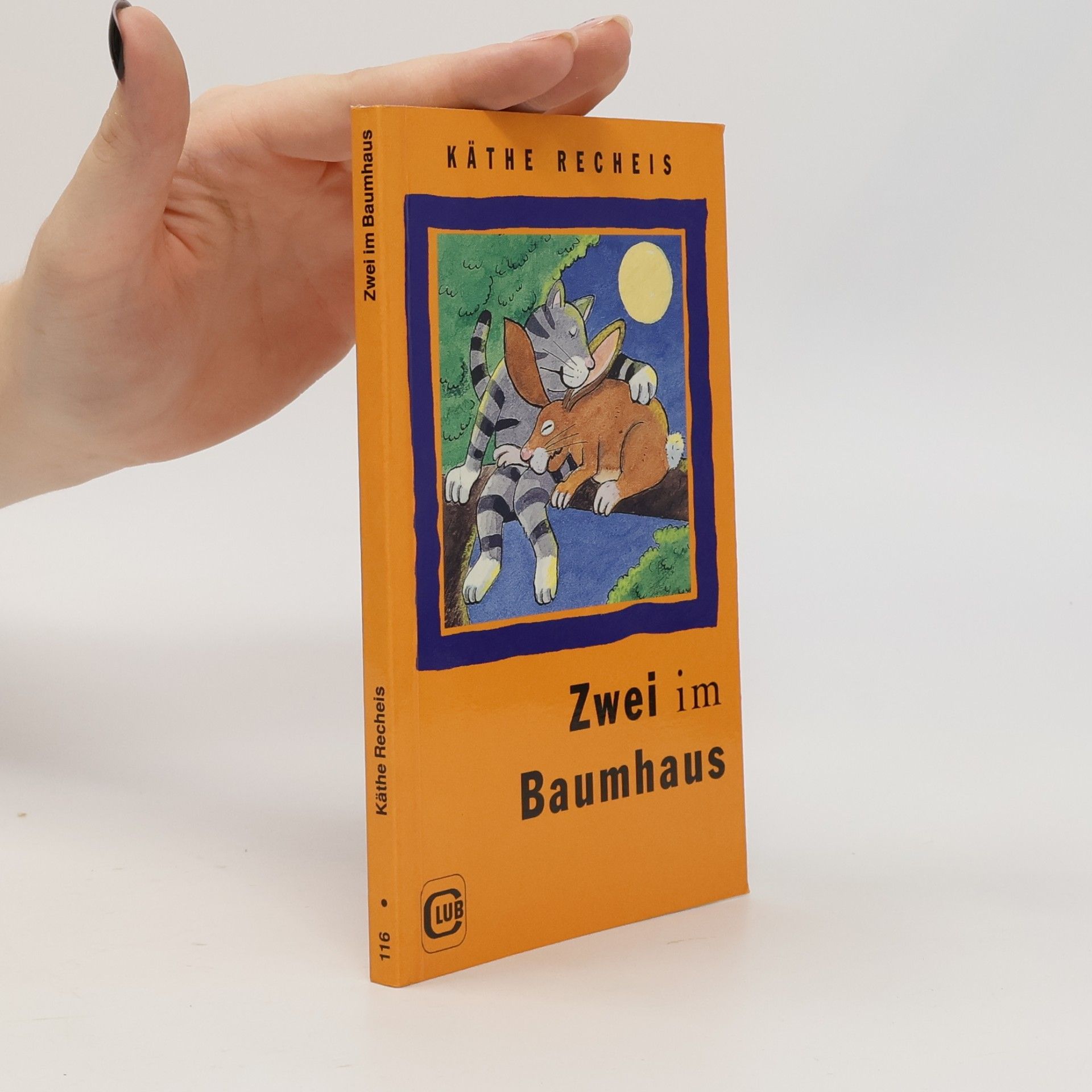 Käthe Recheis Zwei im Baumhaus