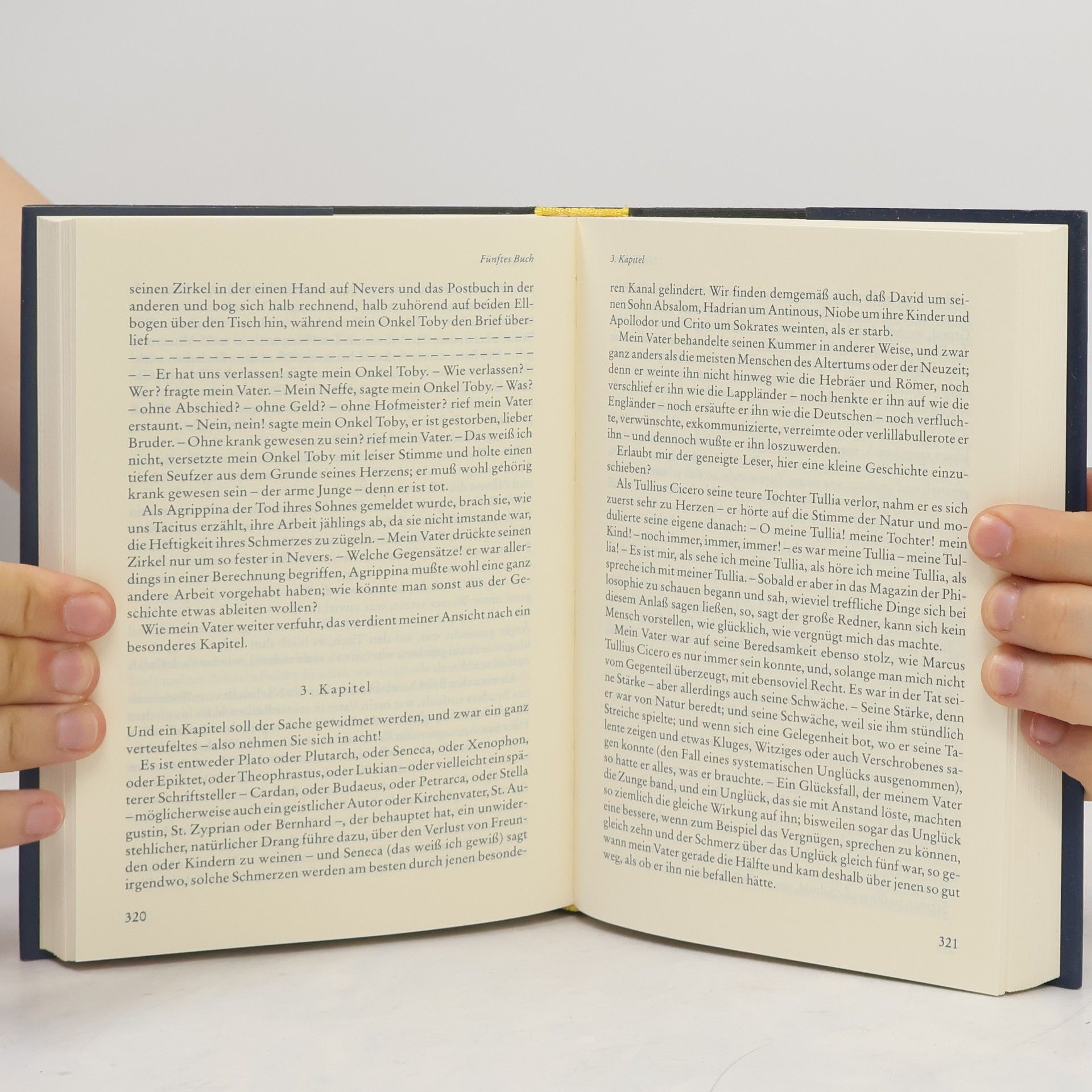 Laurence Sterne Leben und Ansichten des Herrn Tristram Shandy