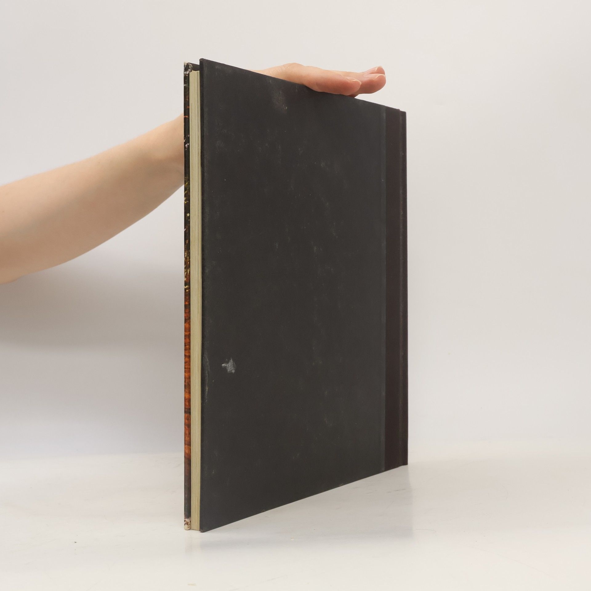 Various authors Die Frühzeit des Menschen. Die Etrusker