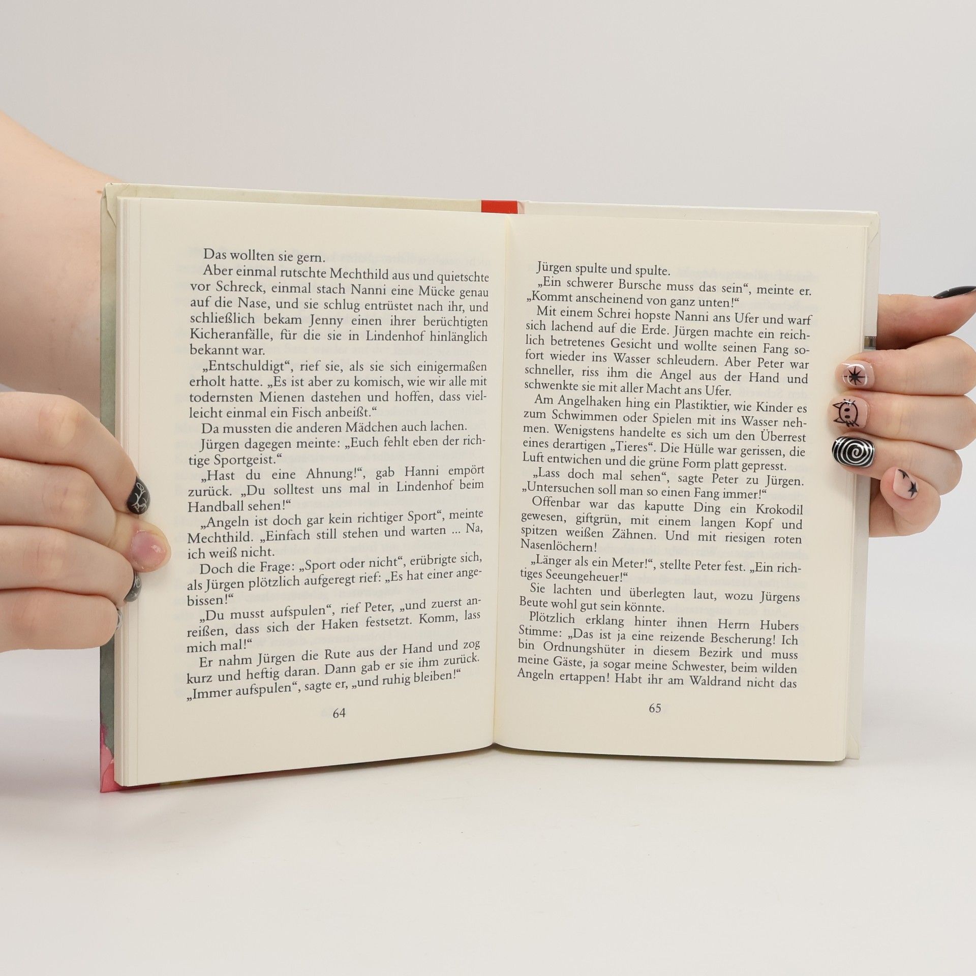 Enid Blyton Hanni und Nanni im Geisterschloss