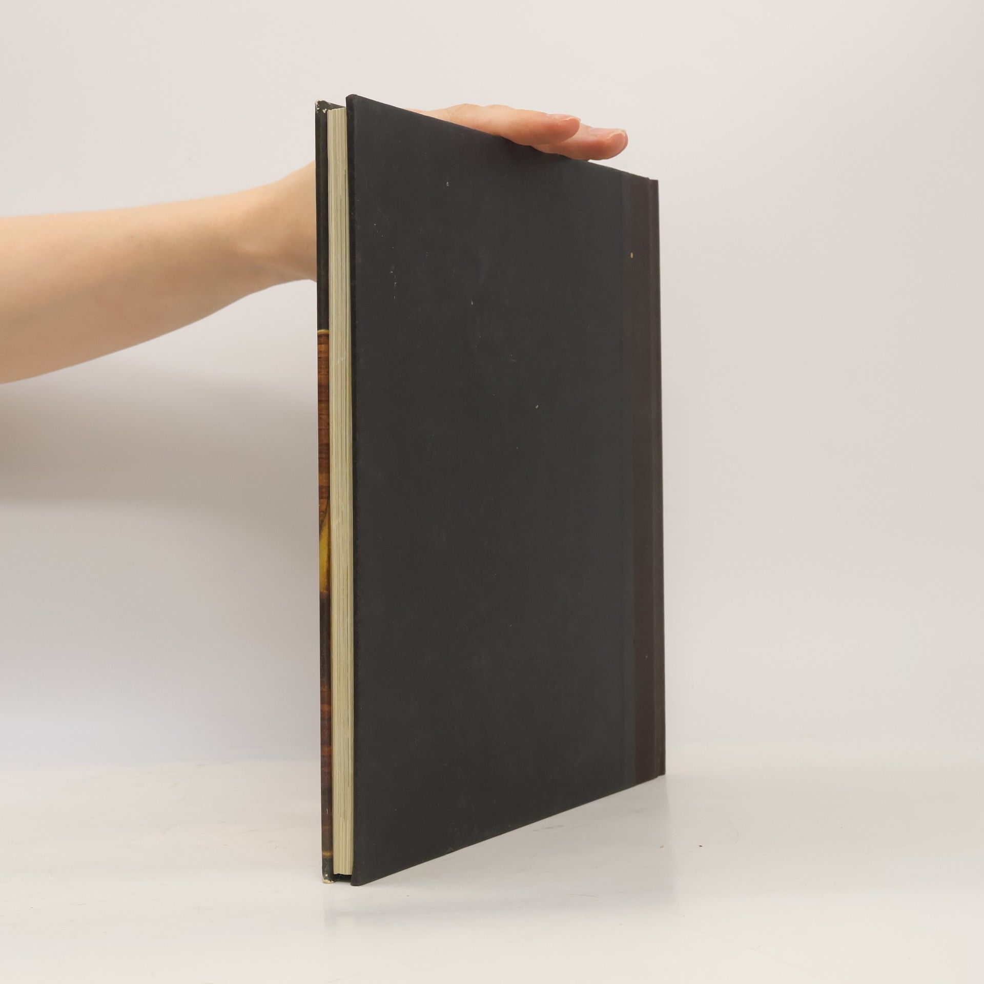 Various authors Die Kelten