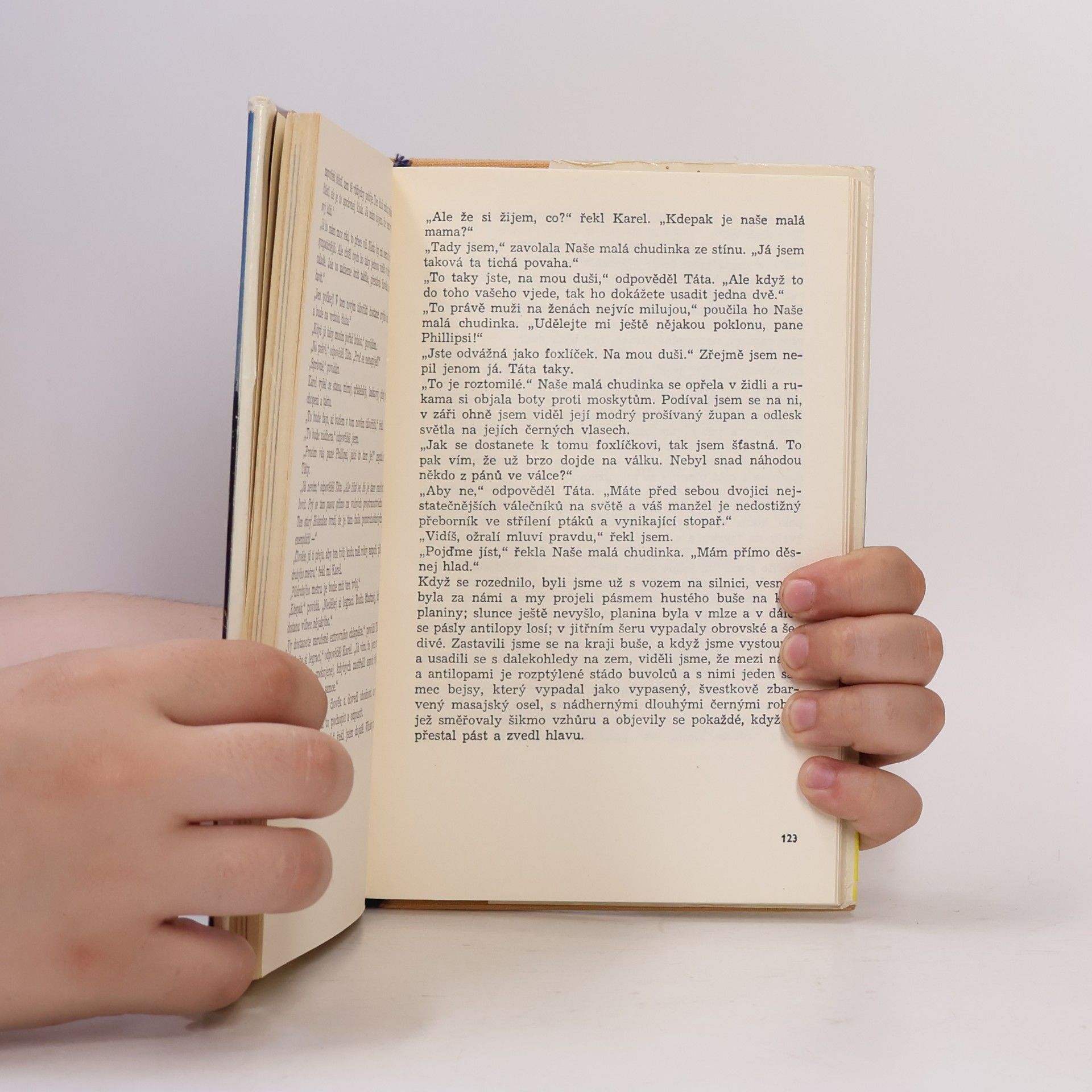 Ernest Hemingway Zelené pahorky africké