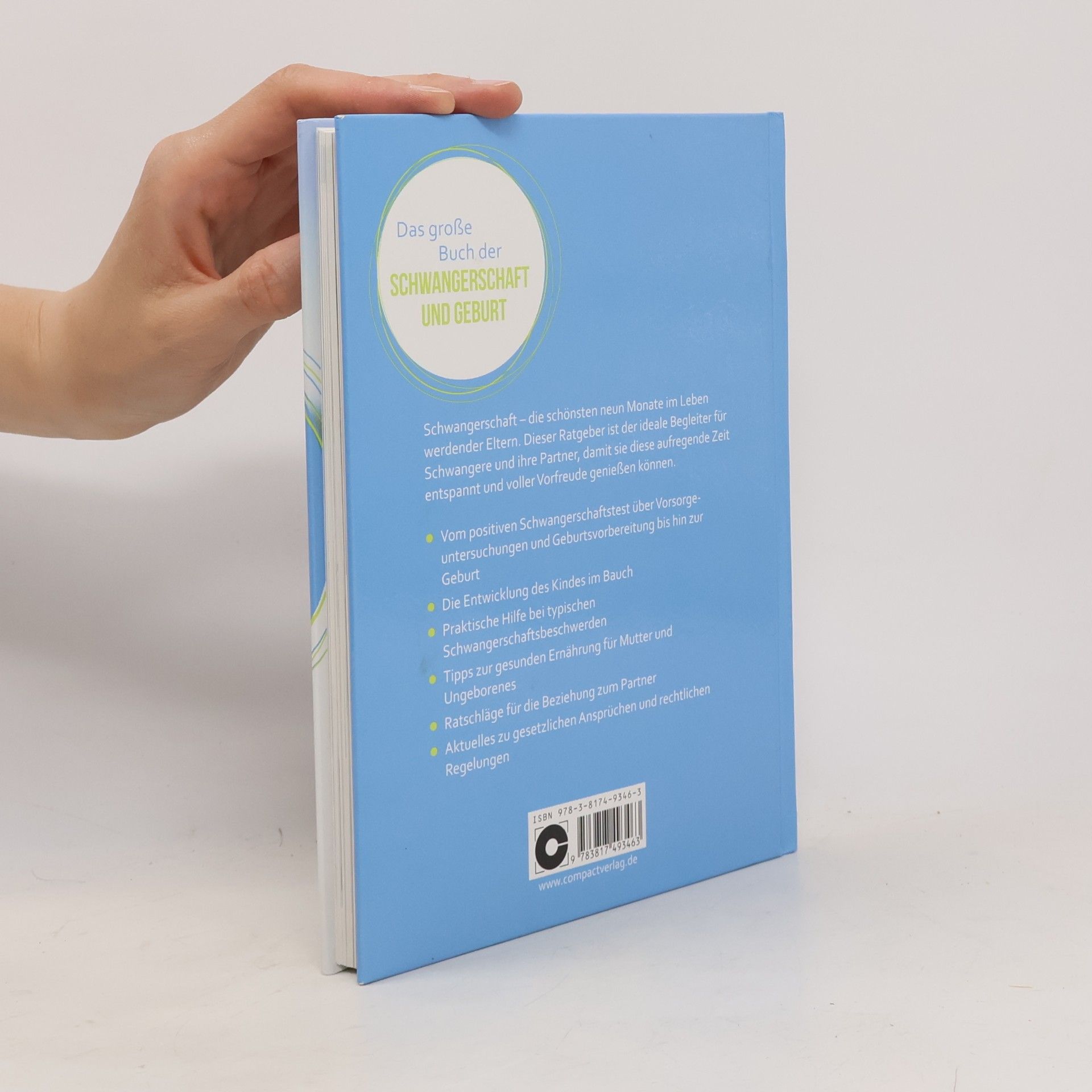 Angelika Tiefenbacher Das große Buch der Schwangerschaft und Geburt
