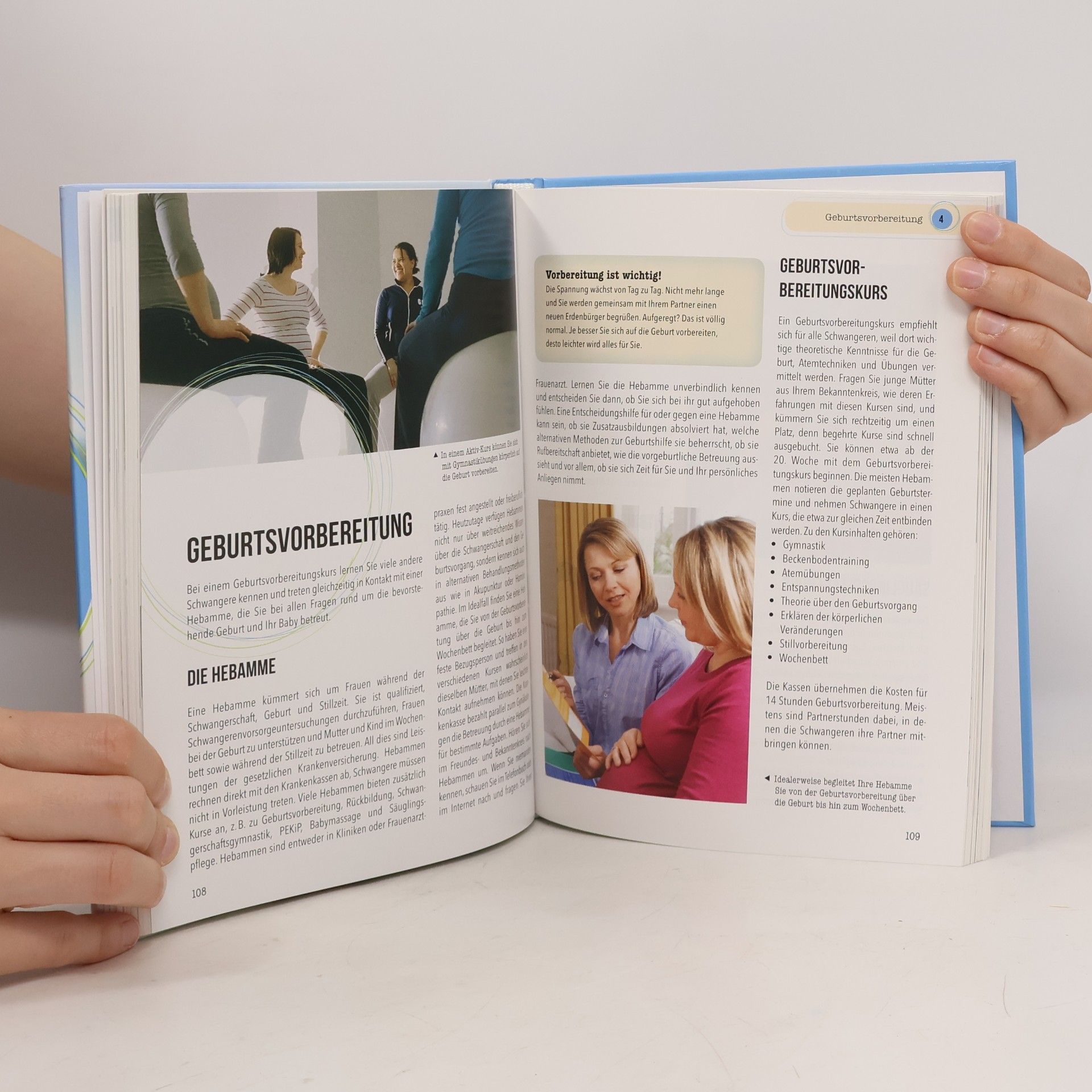Angelika Tiefenbacher Das große Buch der Schwangerschaft und Geburt