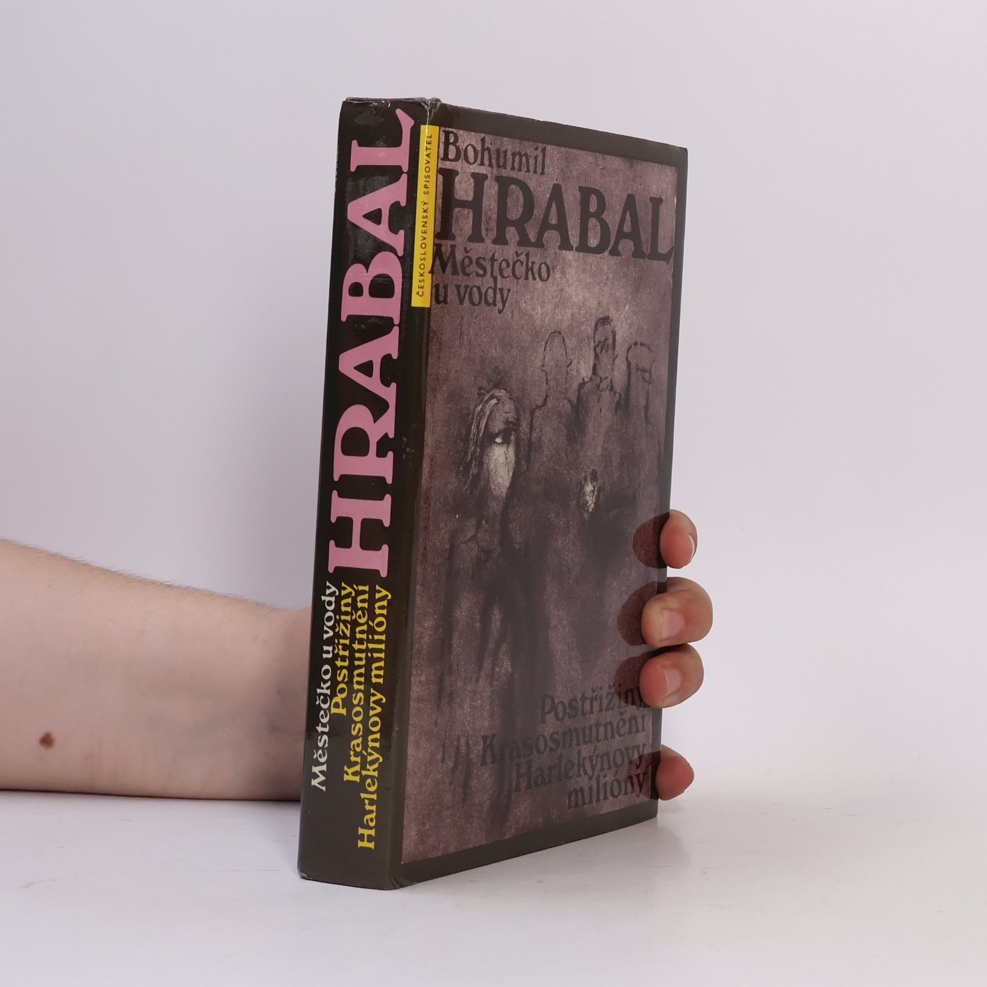 Bohumil Hrabal Městečko u vody