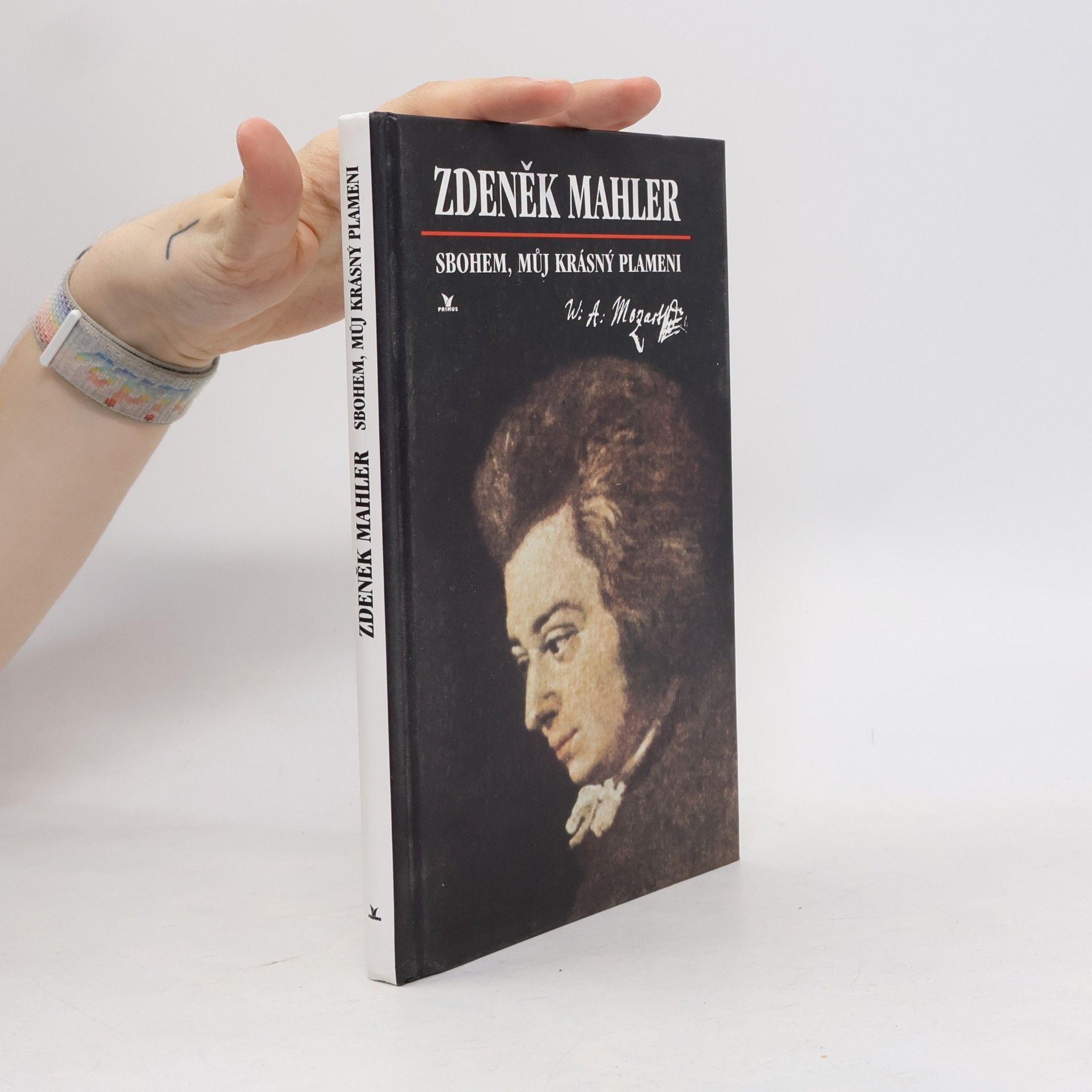 Zdeněk Mahler Sbohem, můj krásný plameni