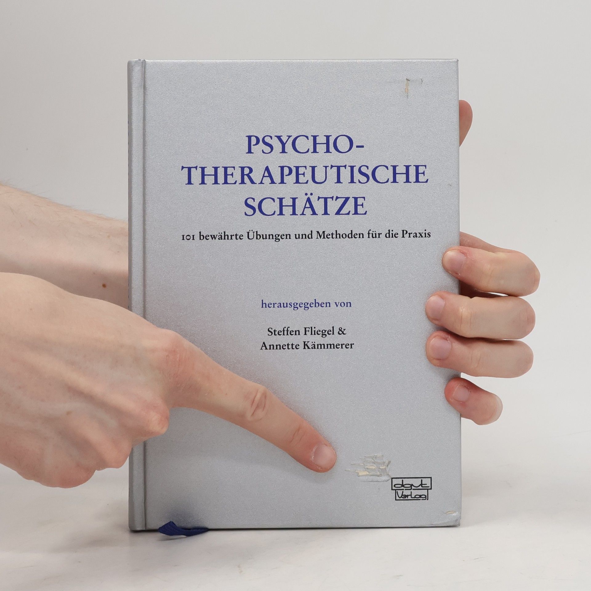 Annette Kämmerer Psychotherapeutische Schätze