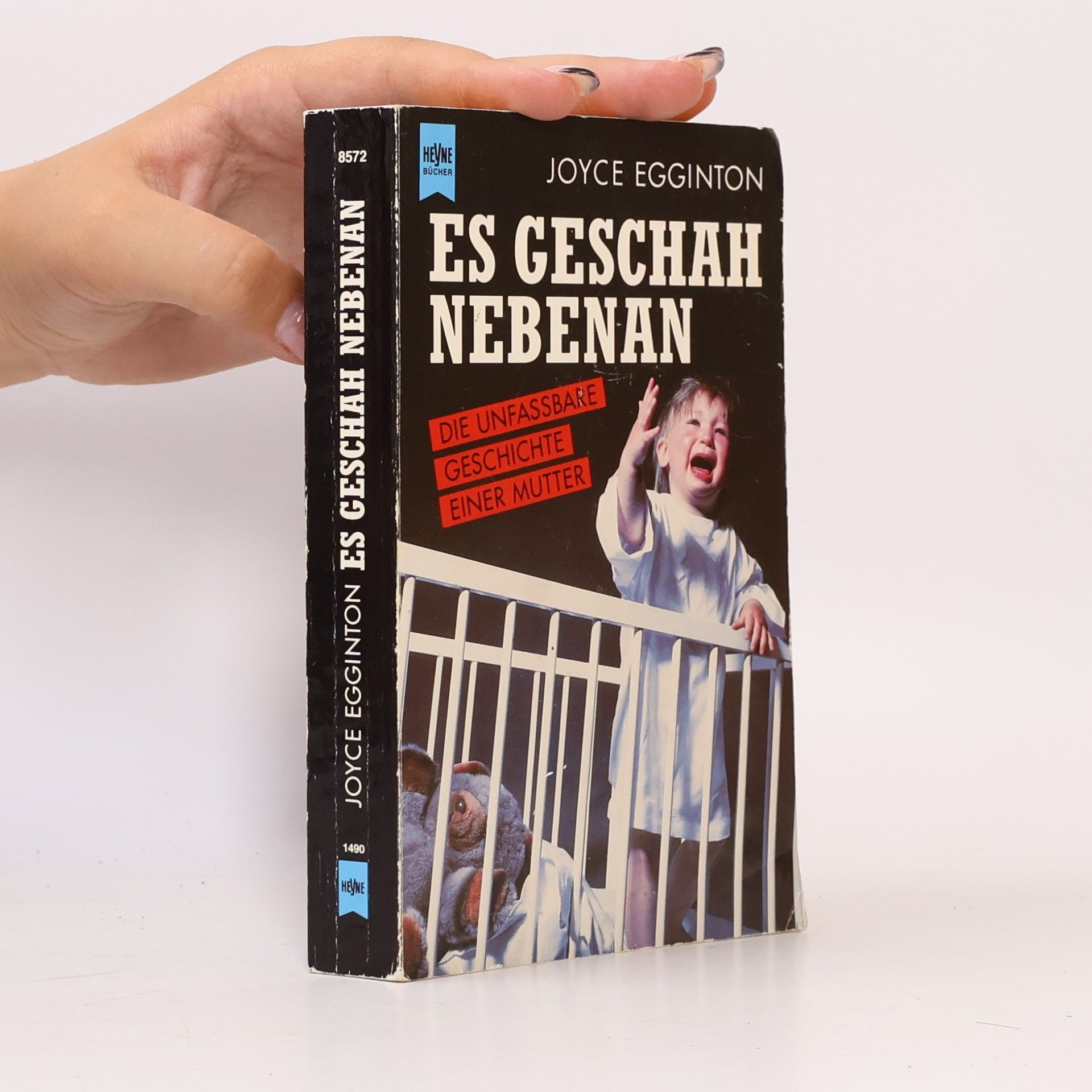 Joyce Egginton Es geschah nebenan