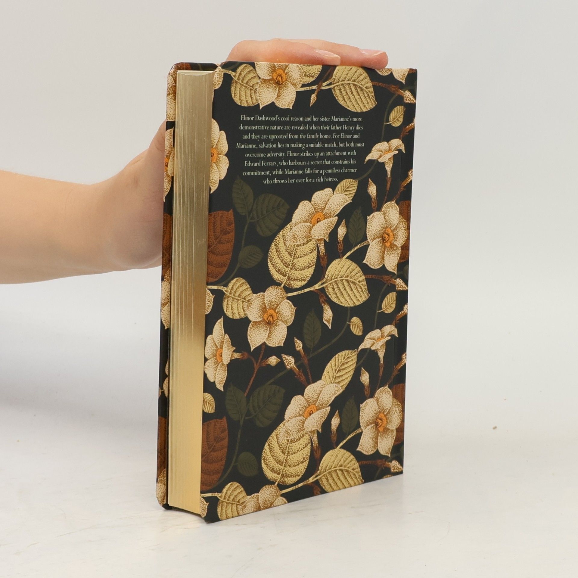 Jane Austen Sense and Sensibility
